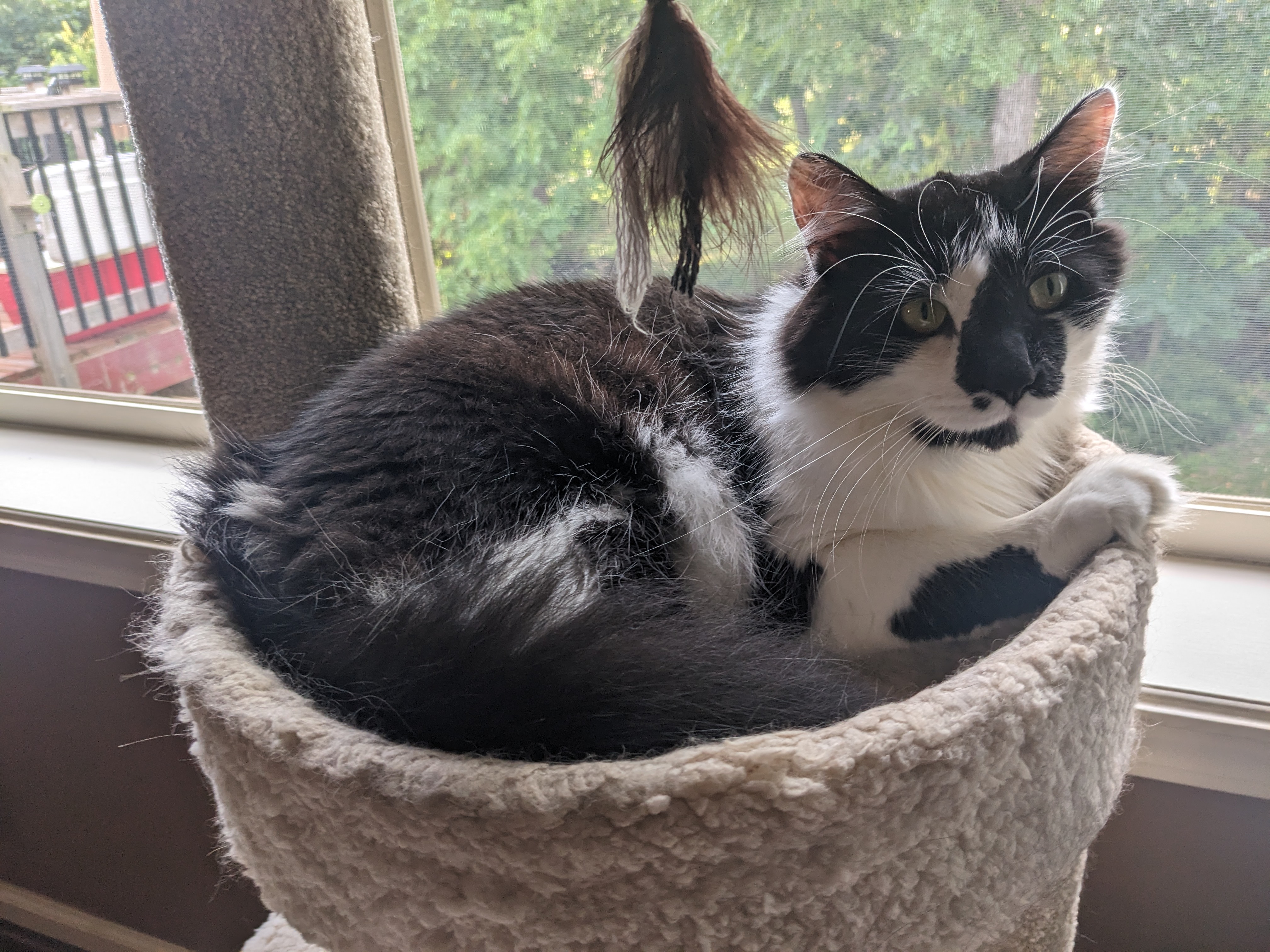 PXL 20240820 231629636