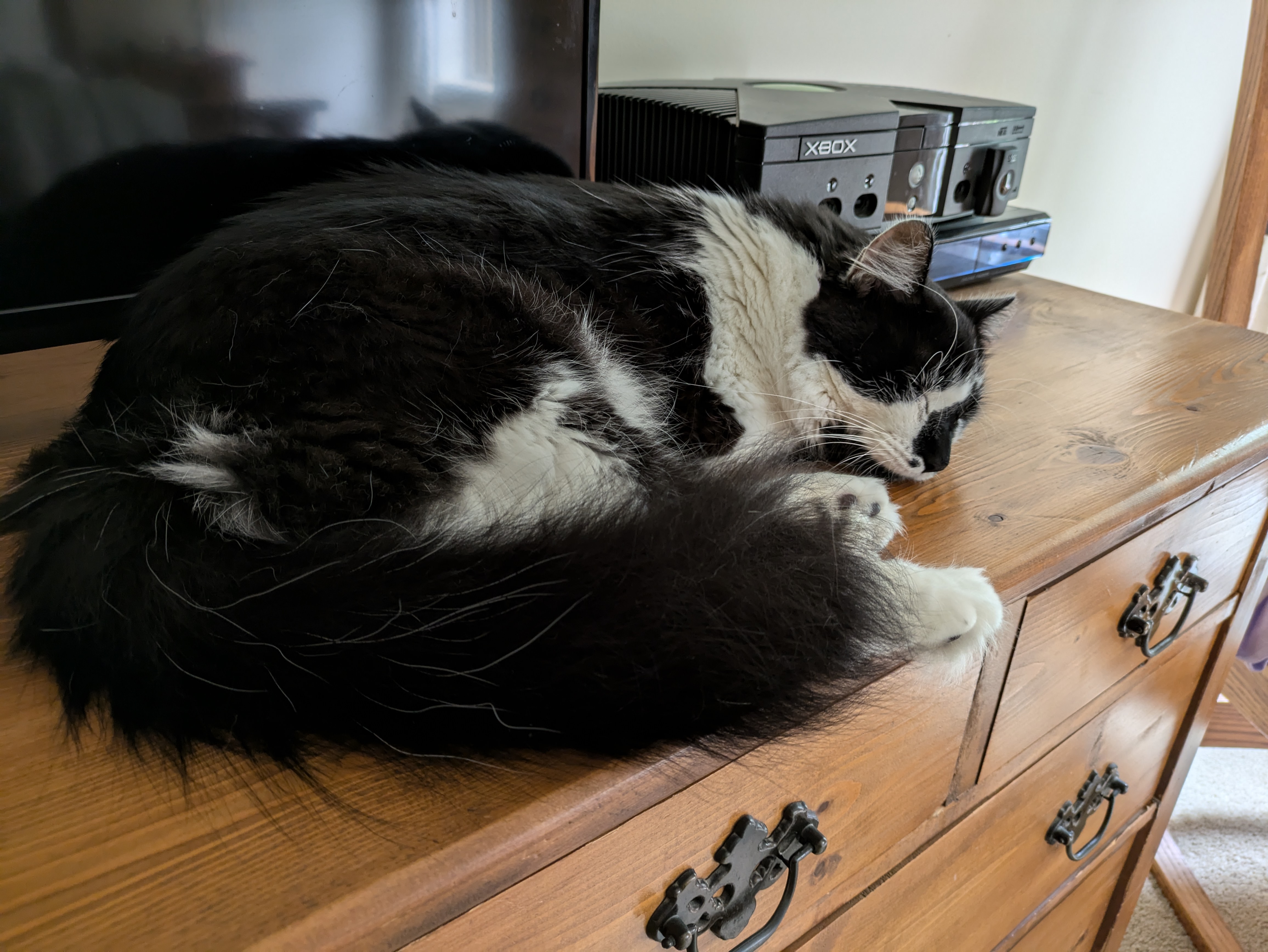 PXL 20240821 183159980