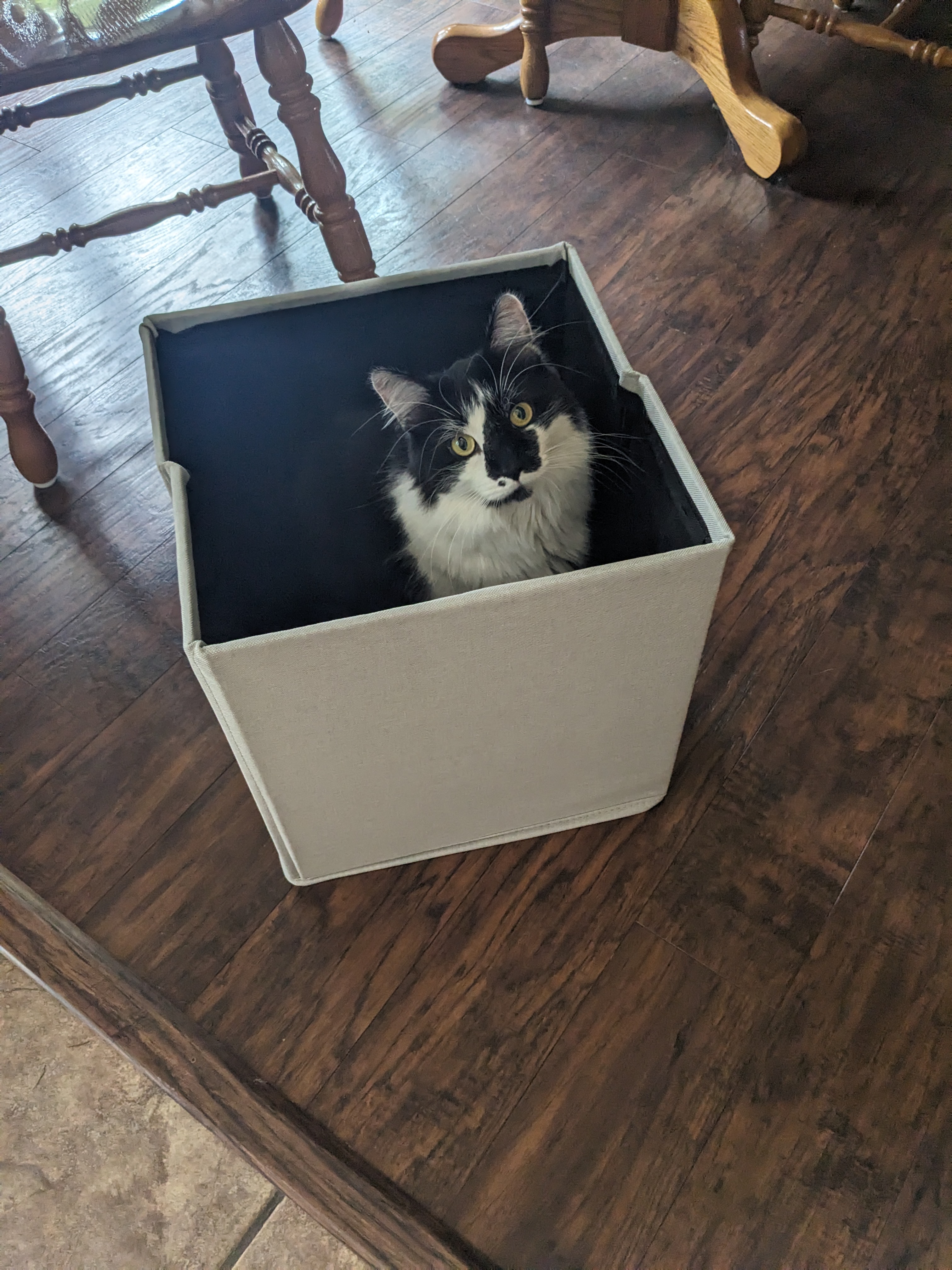 PXL 20240823 205305845