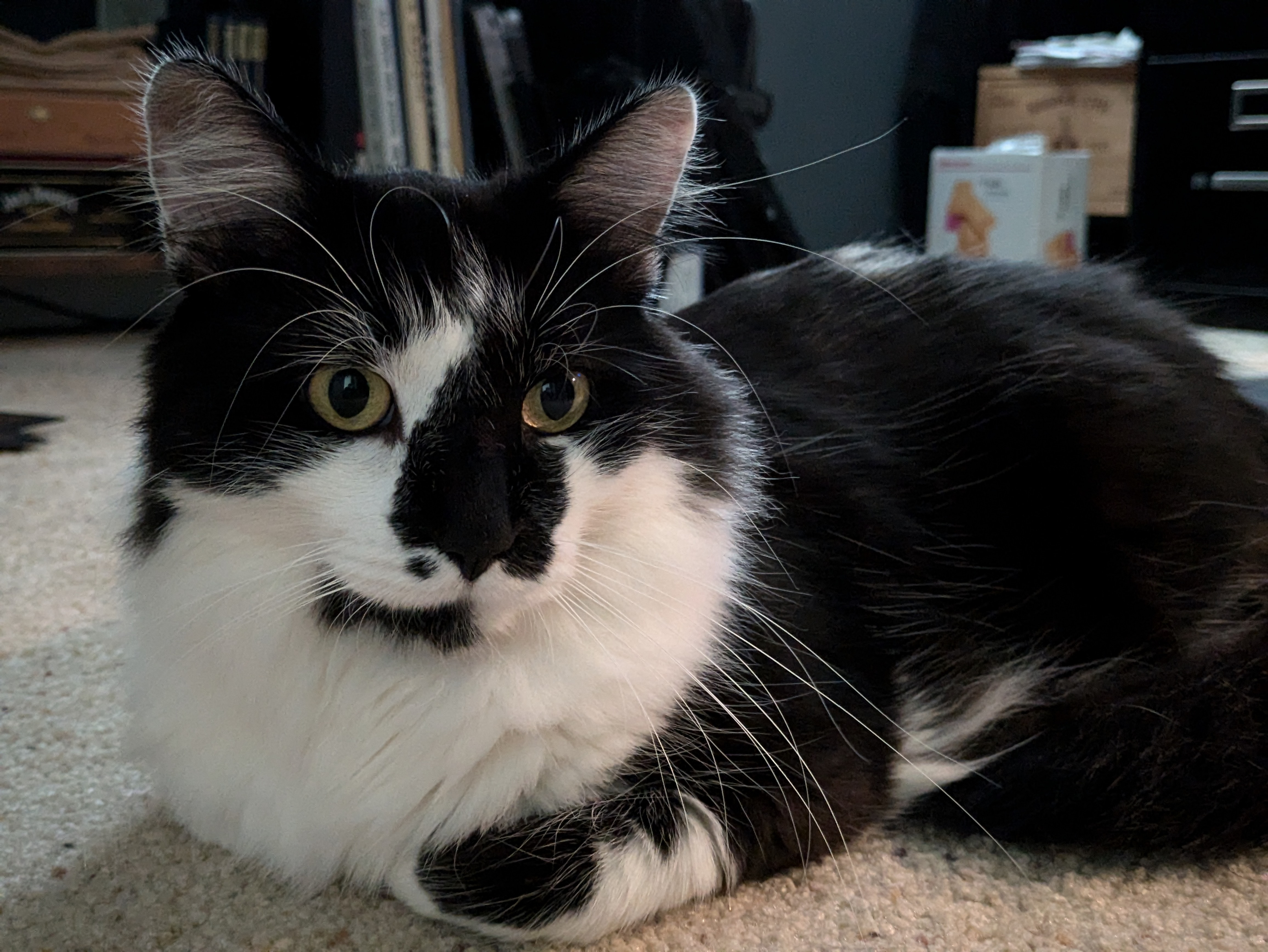 PXL 20240826 163853849.PORTRAIT.ORIGINAL