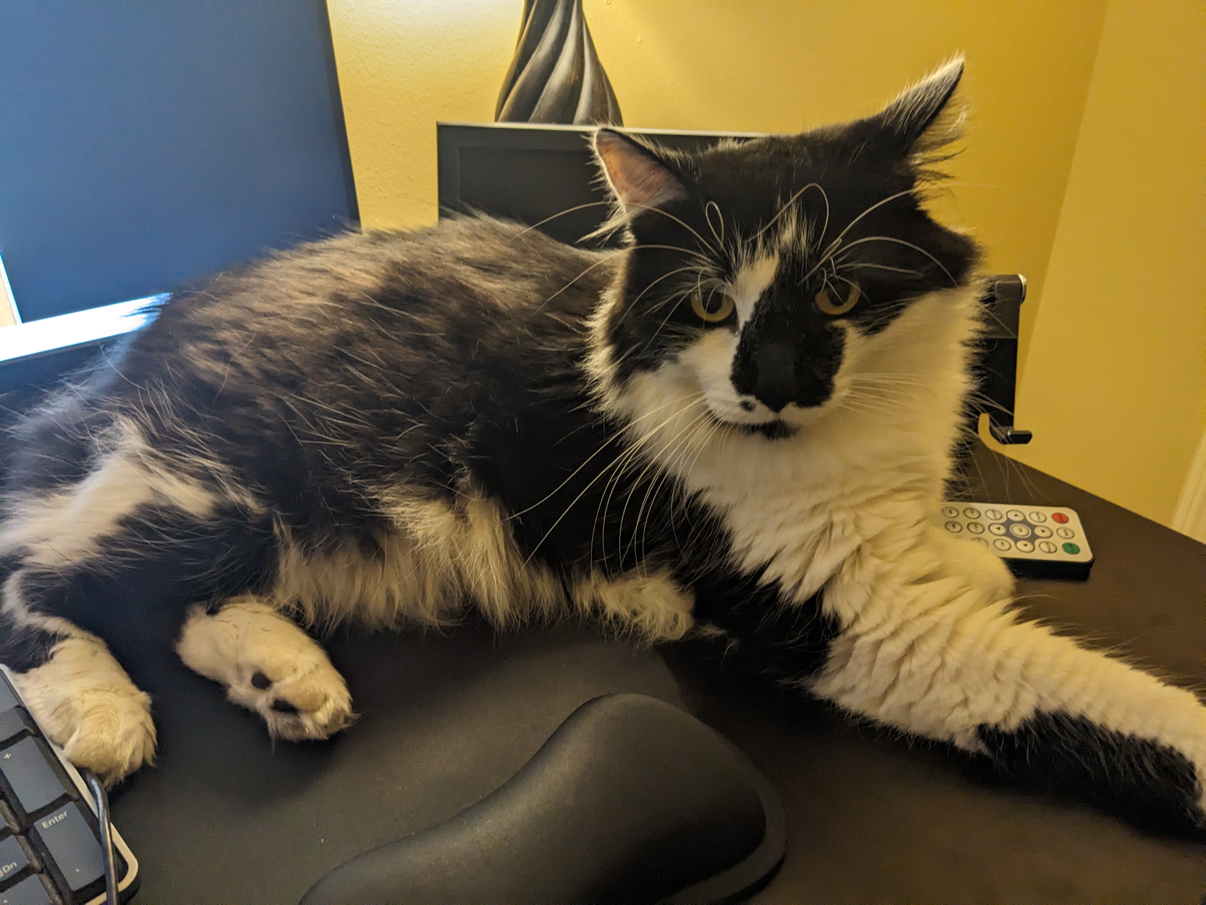 PXL 20240830 020520267