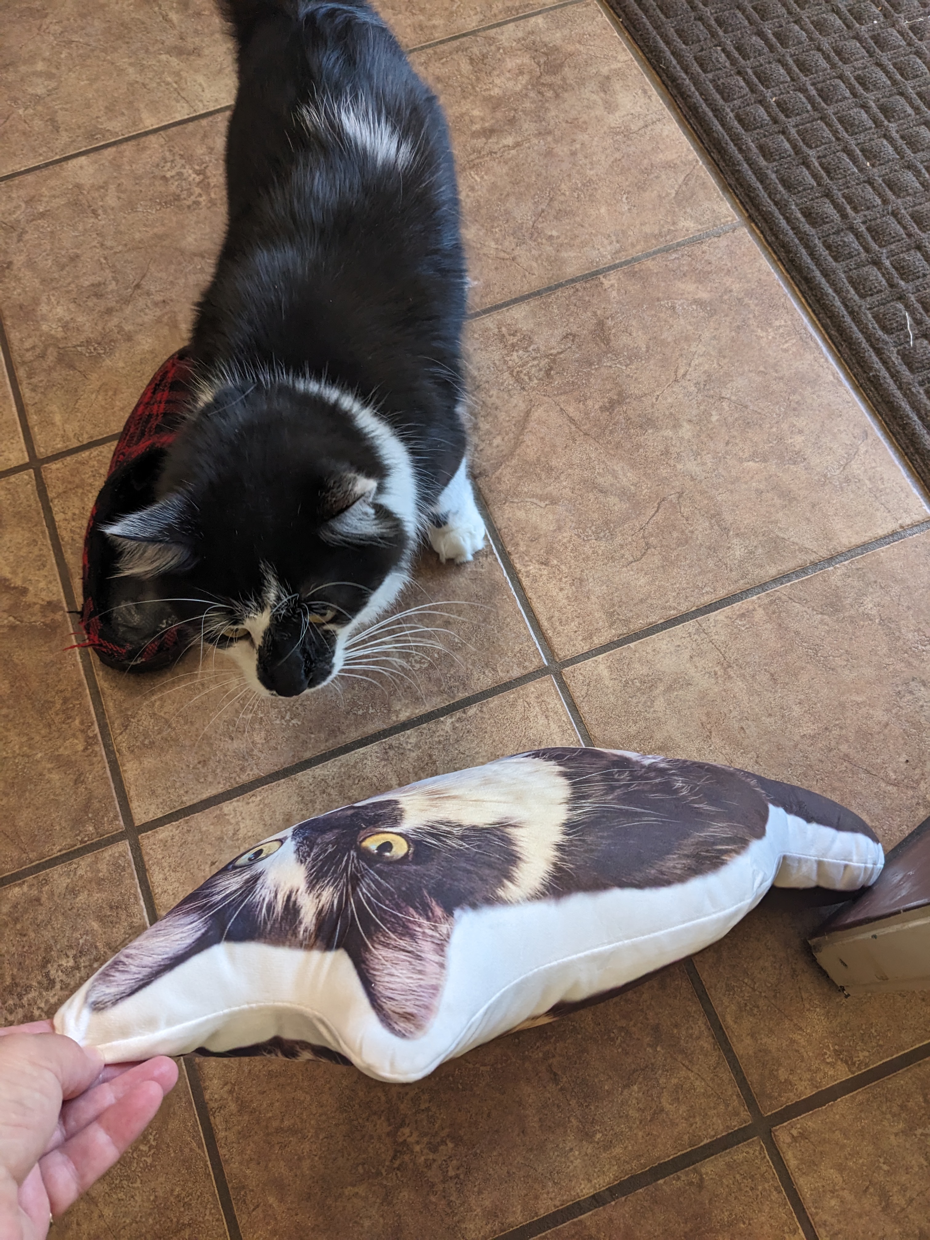 PXL 20240902 151801687