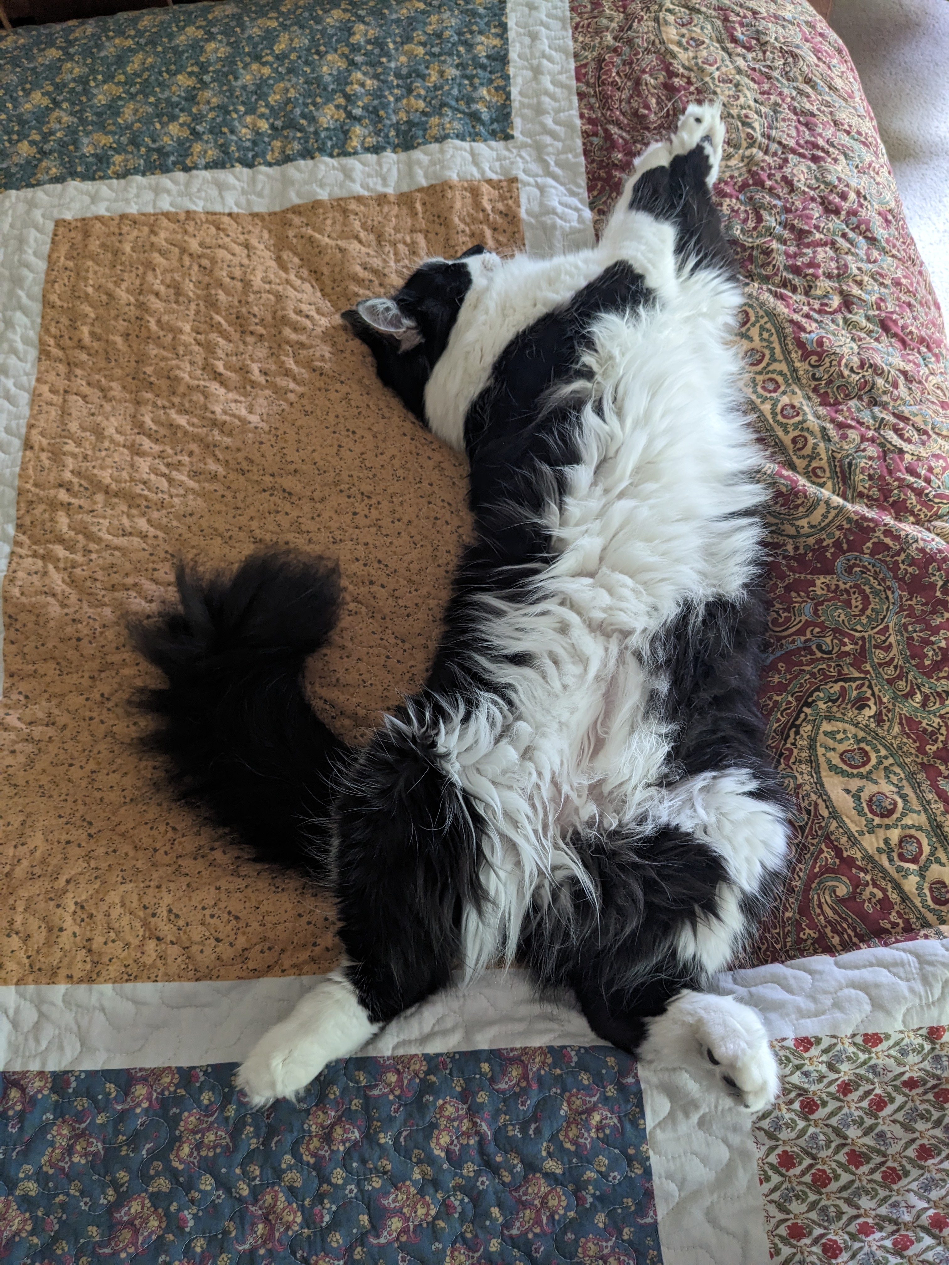 PXL 20240908 163417015