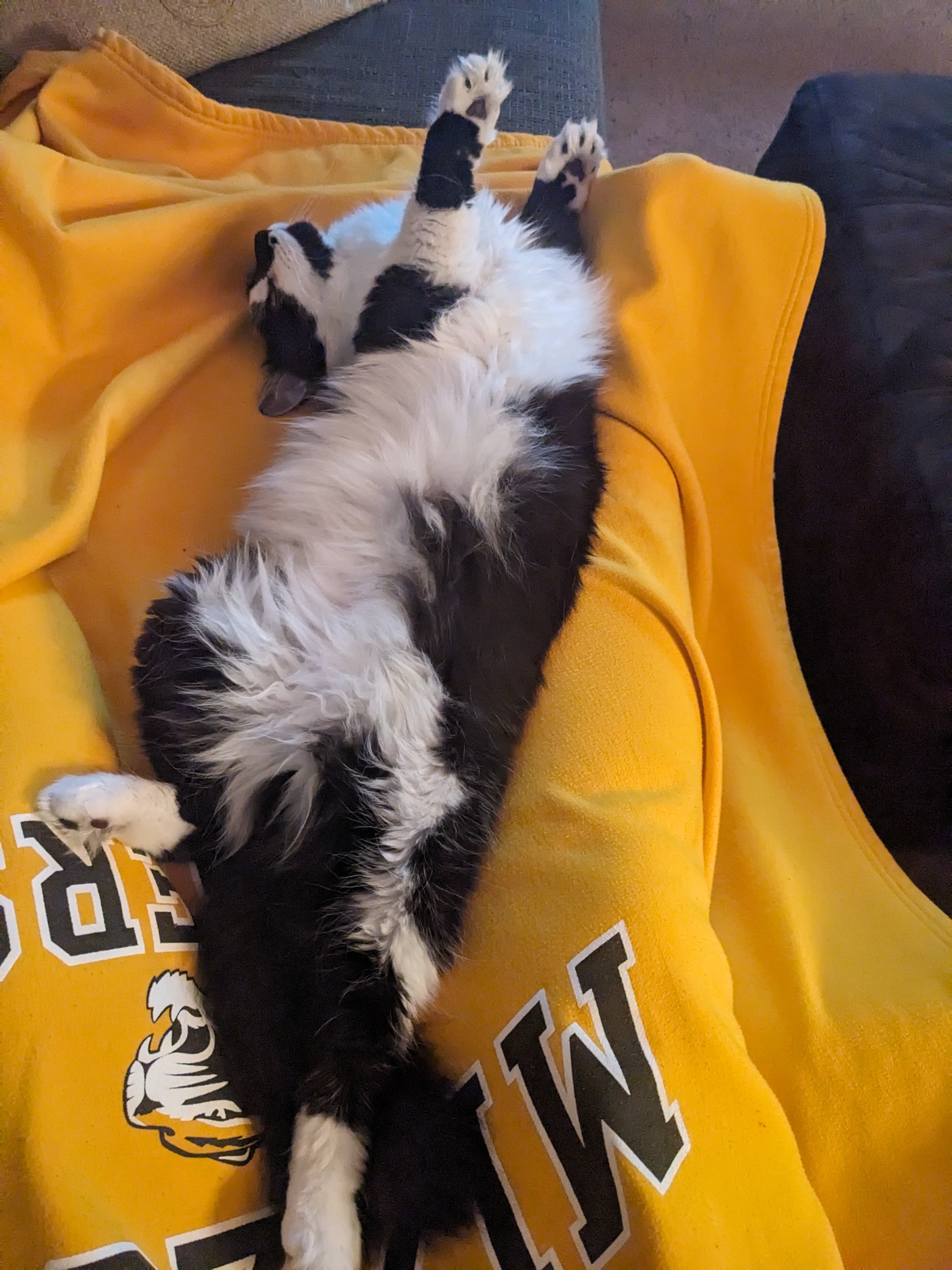 PXL 20240911 023205752