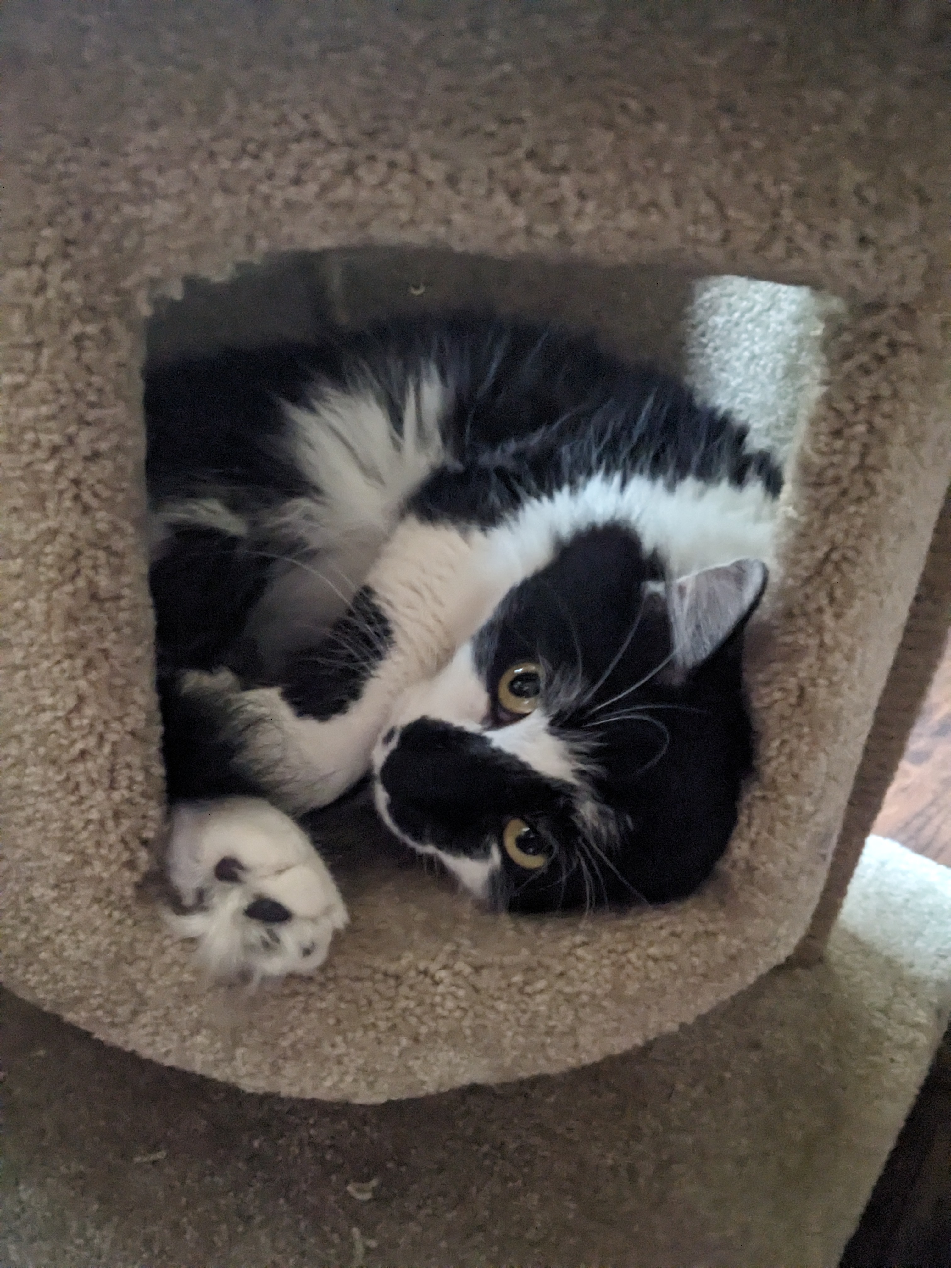 PXL 20240911 234036964