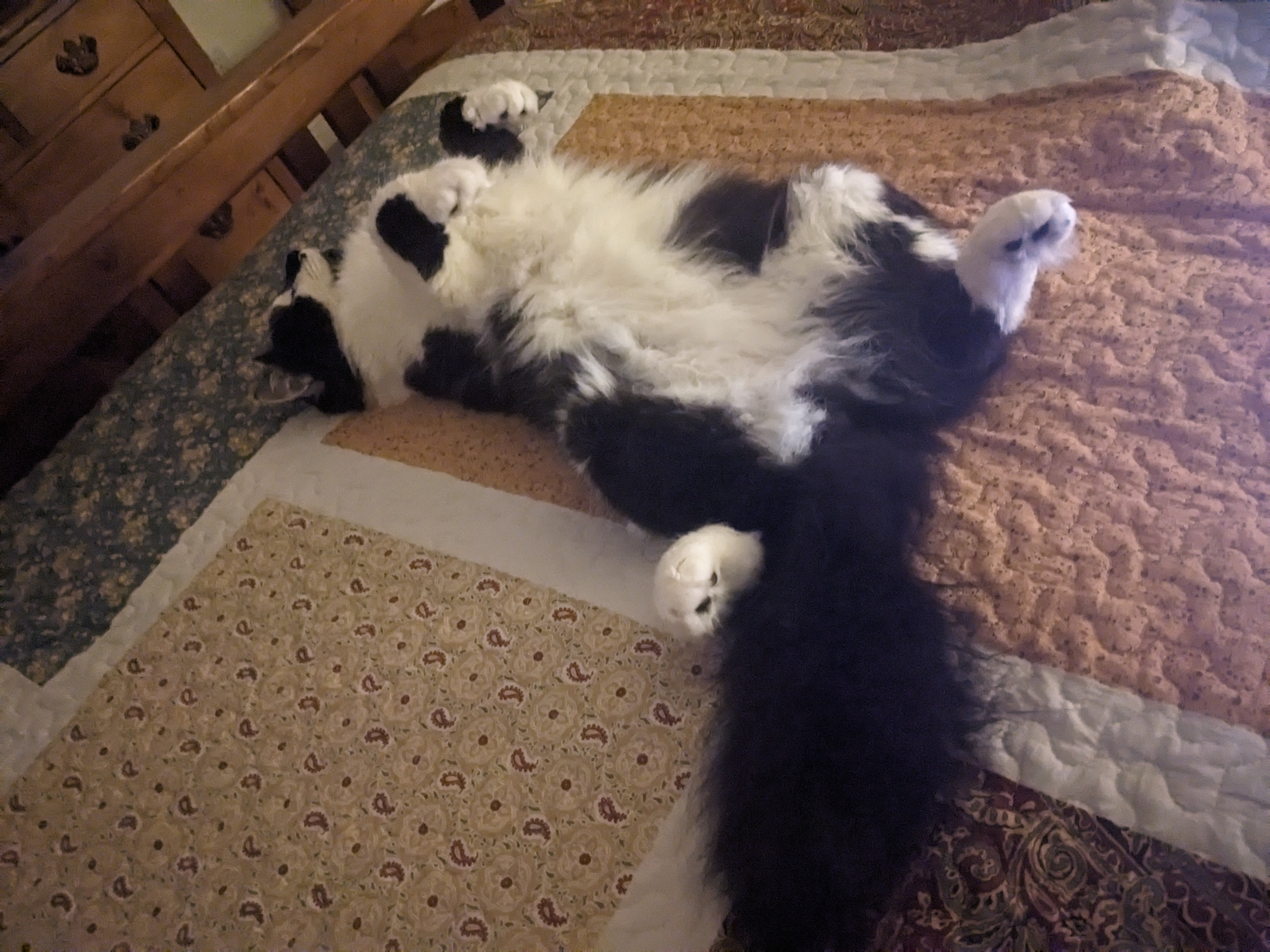 PXL 20240915 005648257