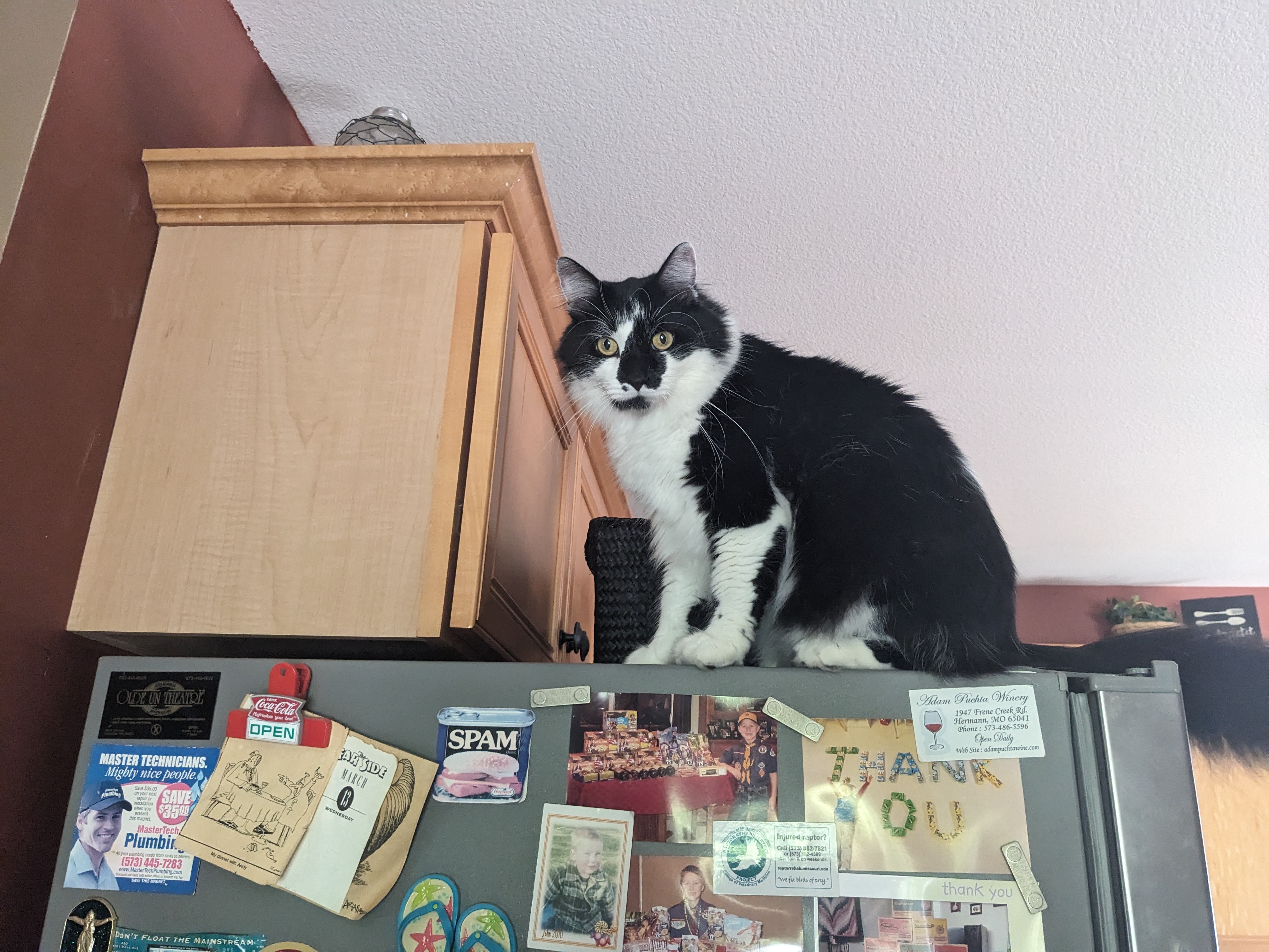 PXL 20240915 160027562