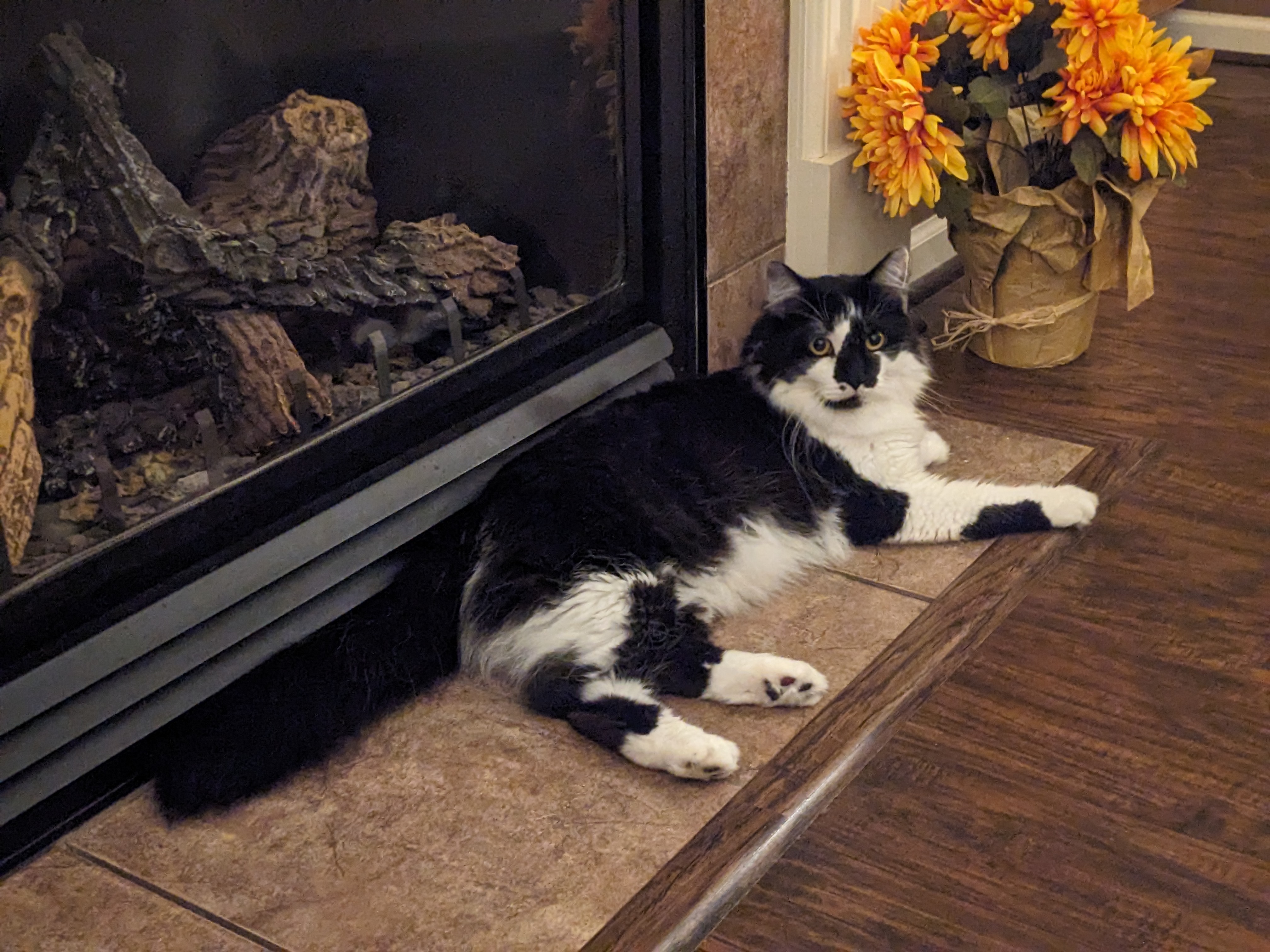 PXL 20240923 012955286