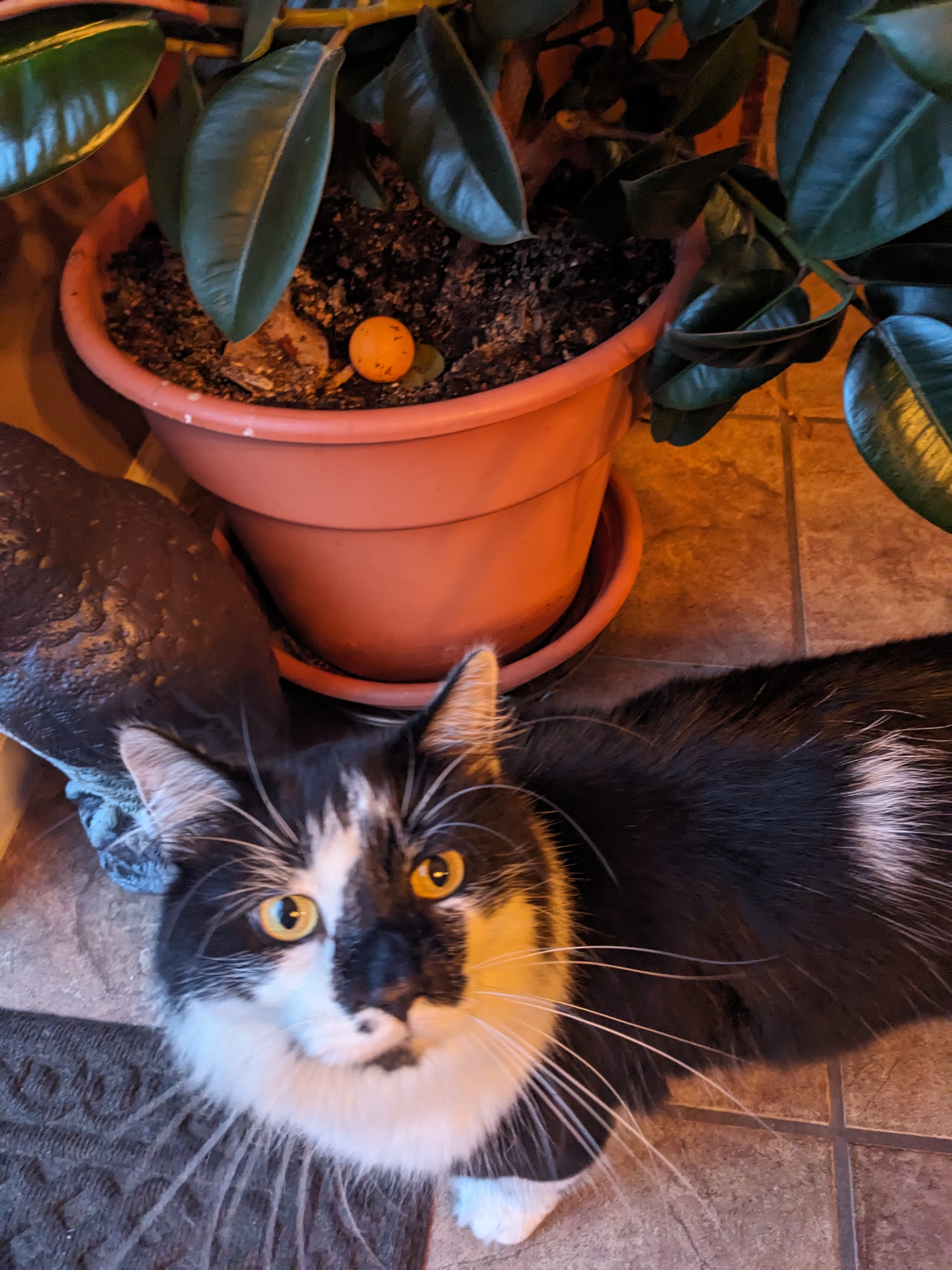 PXL 20240923 234552811