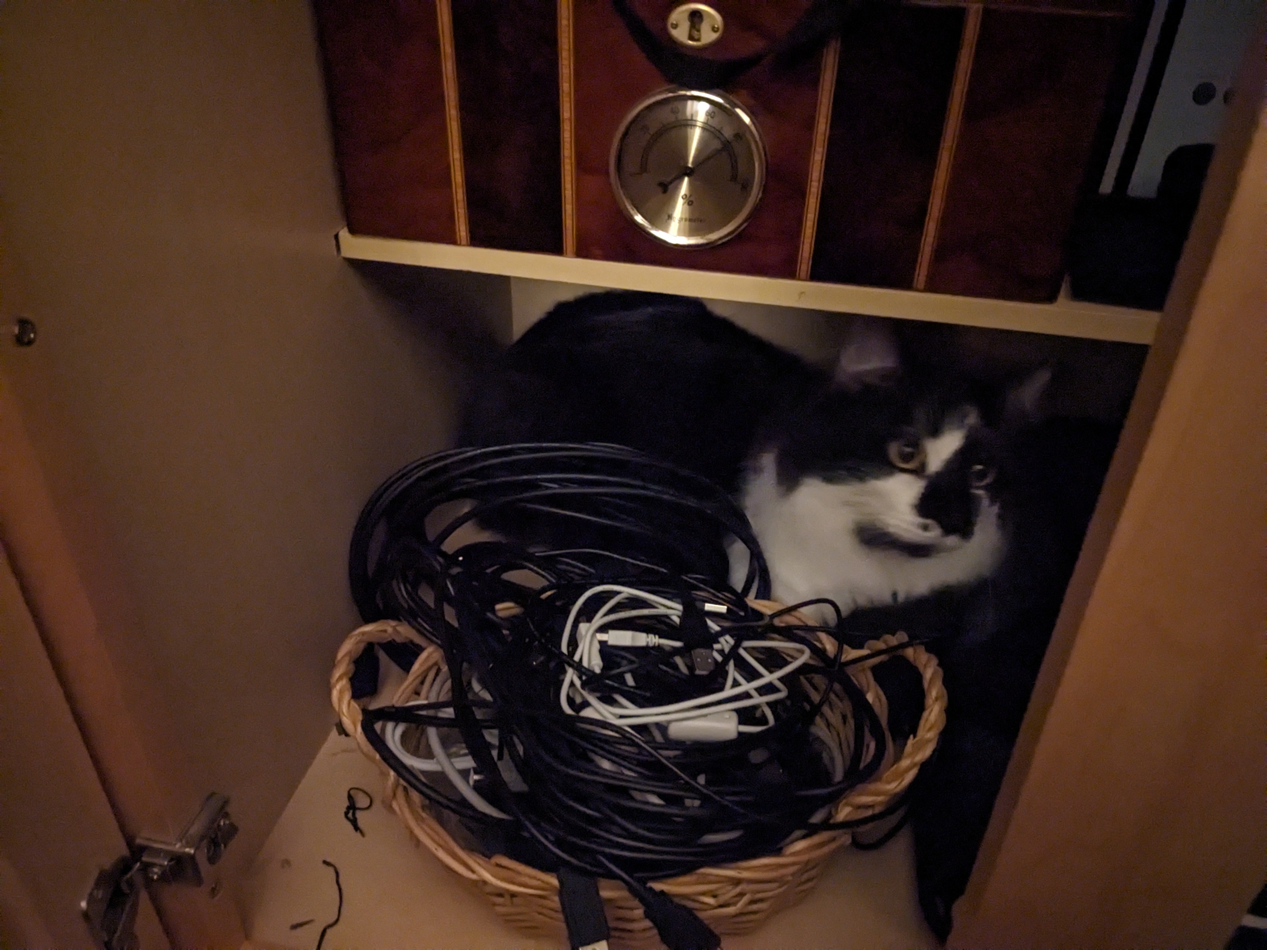 PXL 20241010 010125202