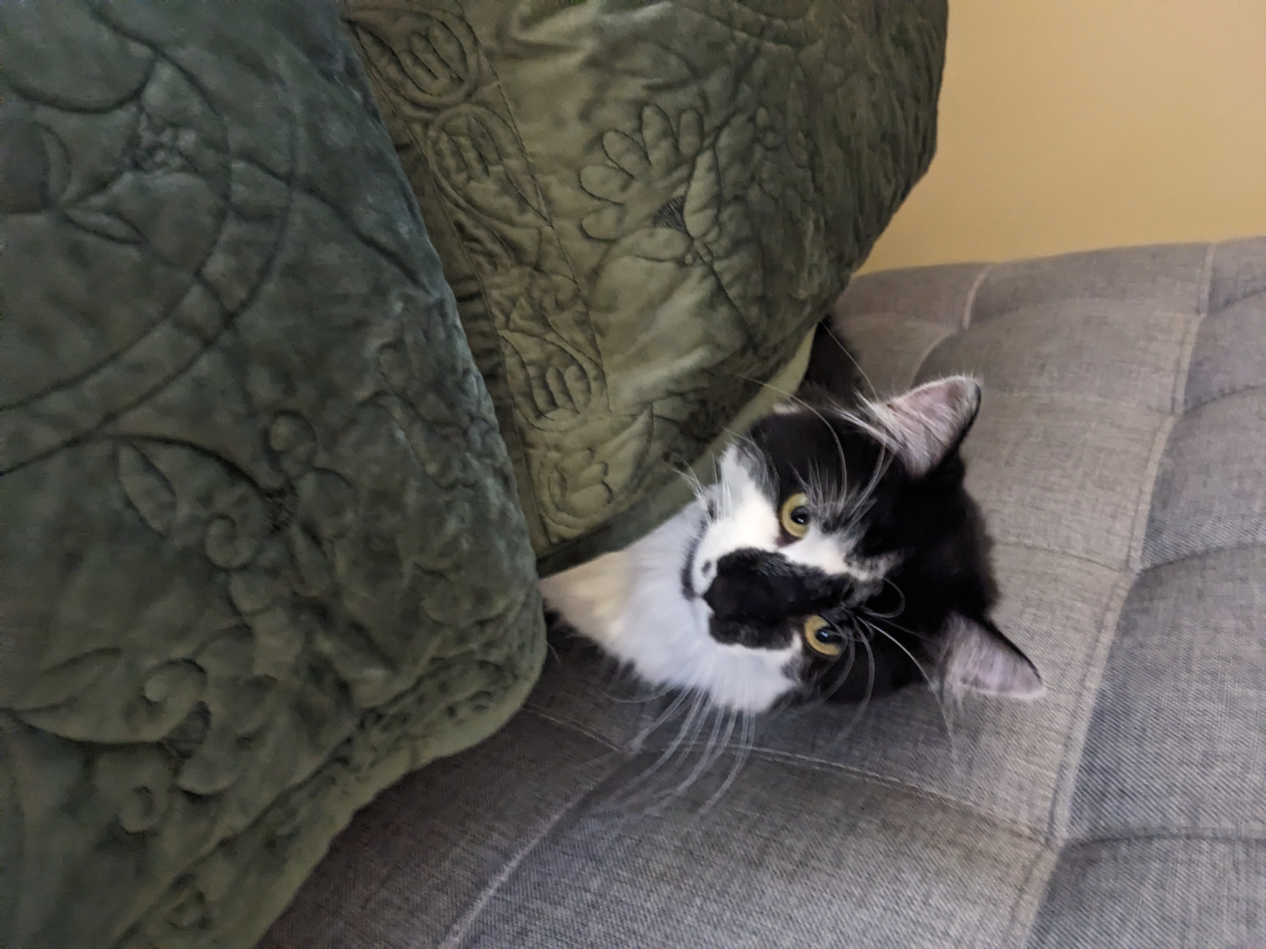 PXL 20241014 152805170