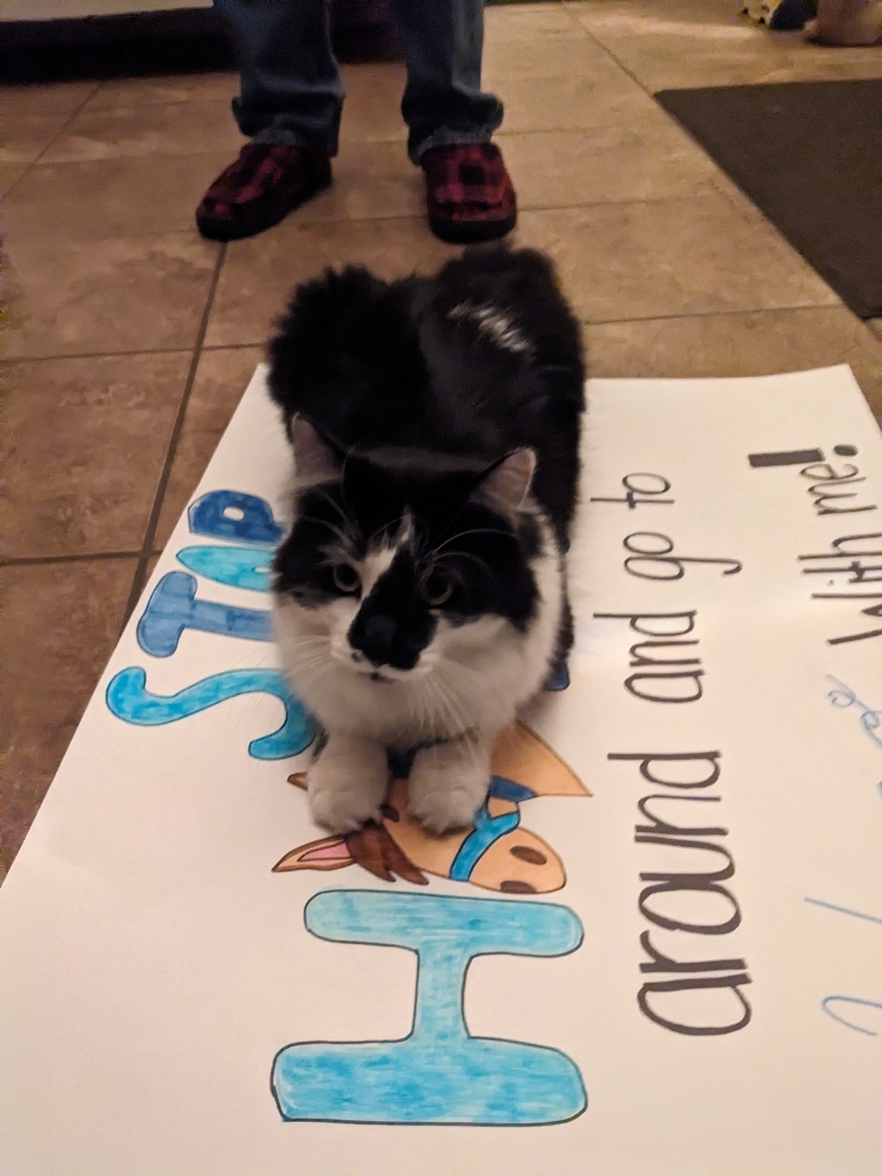 PXL 20241016 020903350