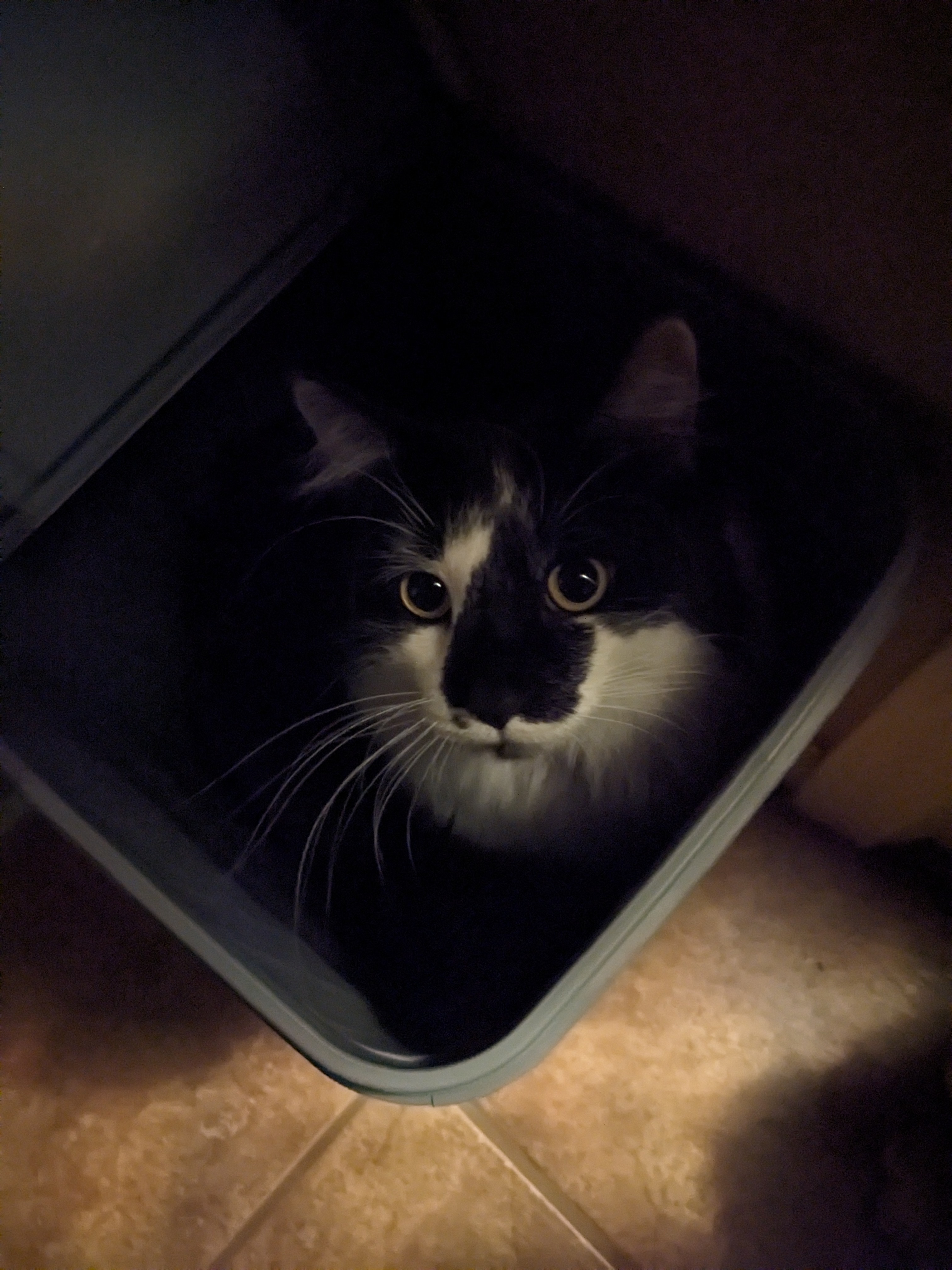 PXL 20241016 022516945