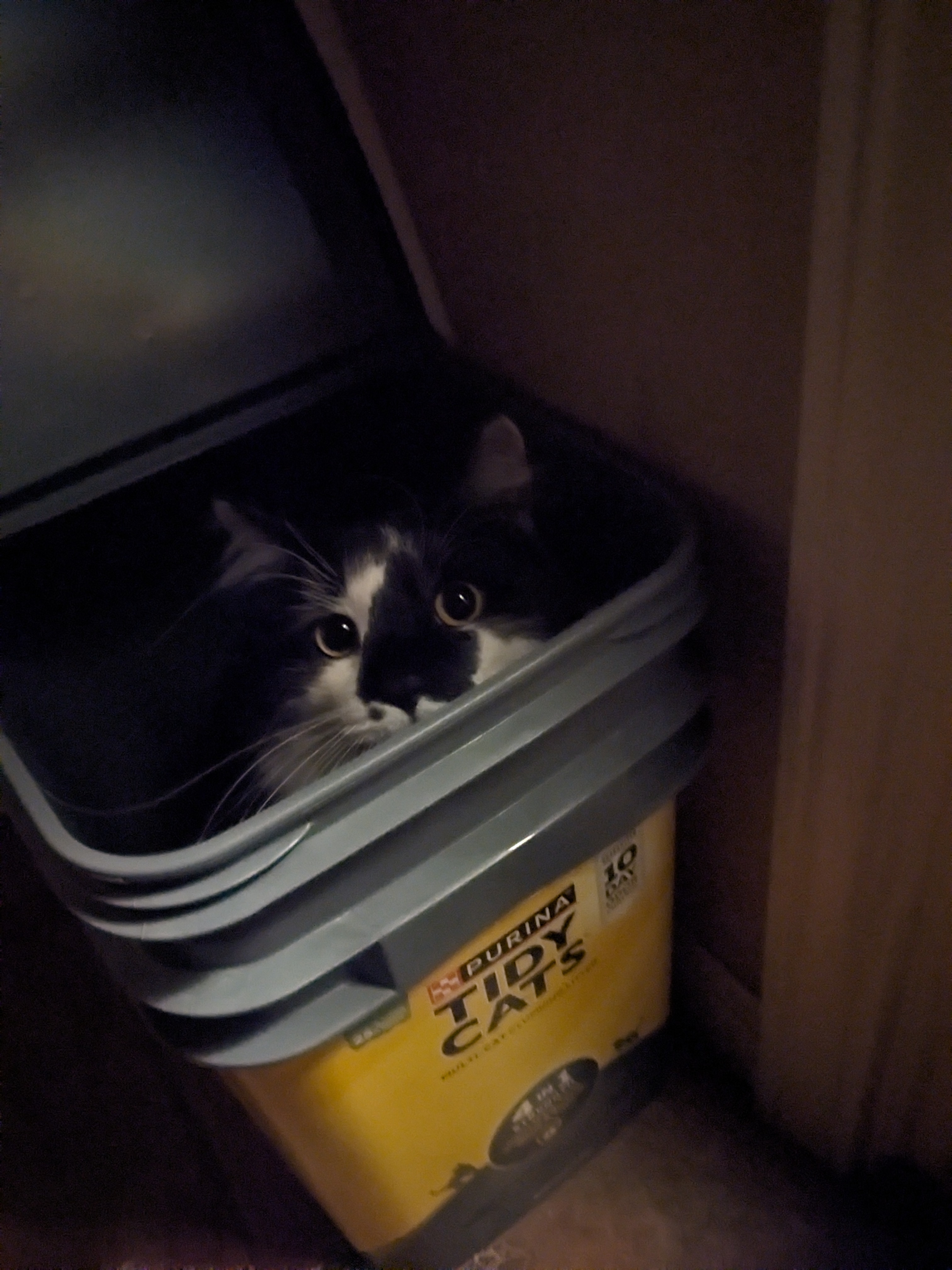 PXL 20241016 022520269