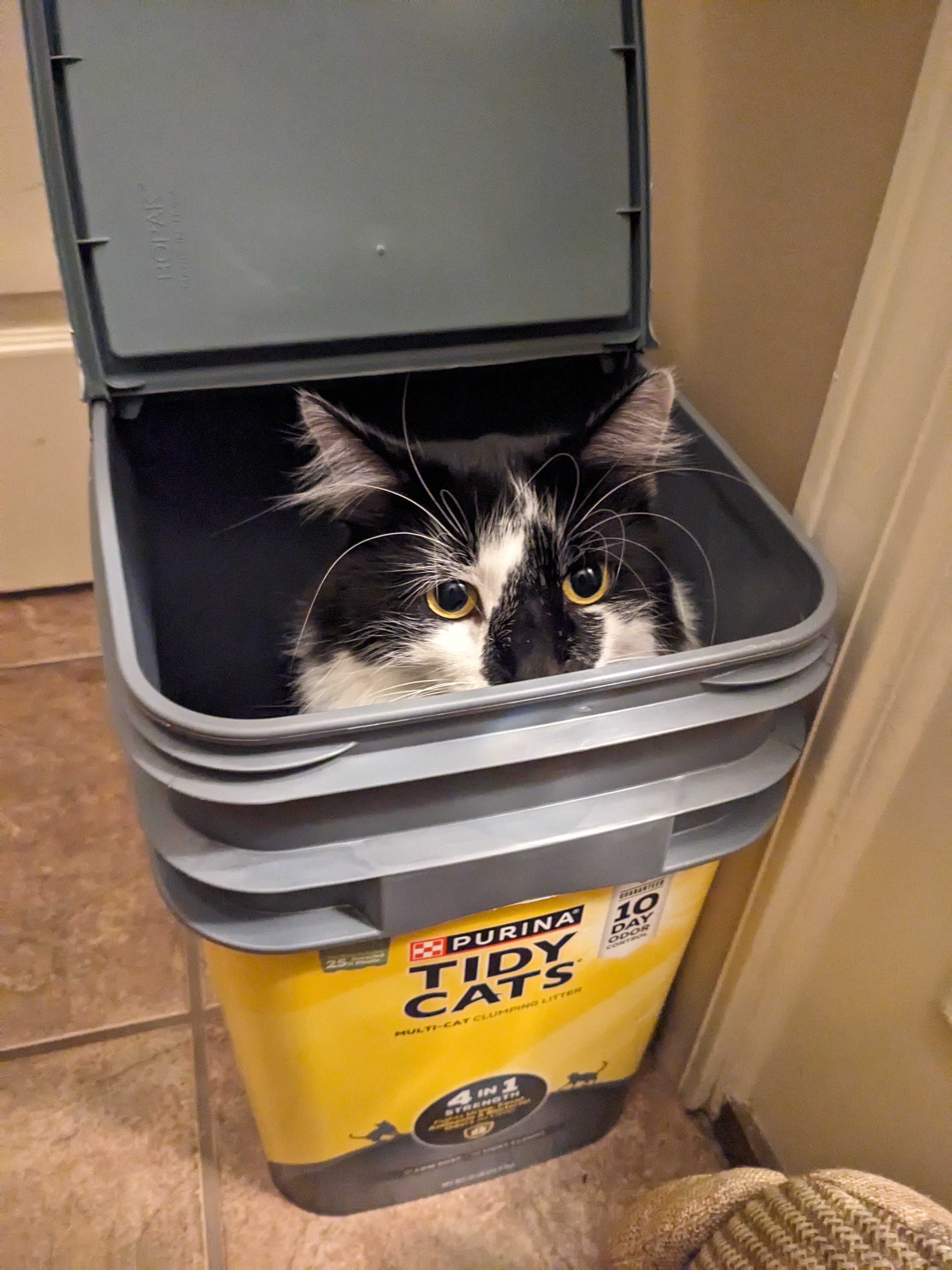 PXL 20241016 022539823