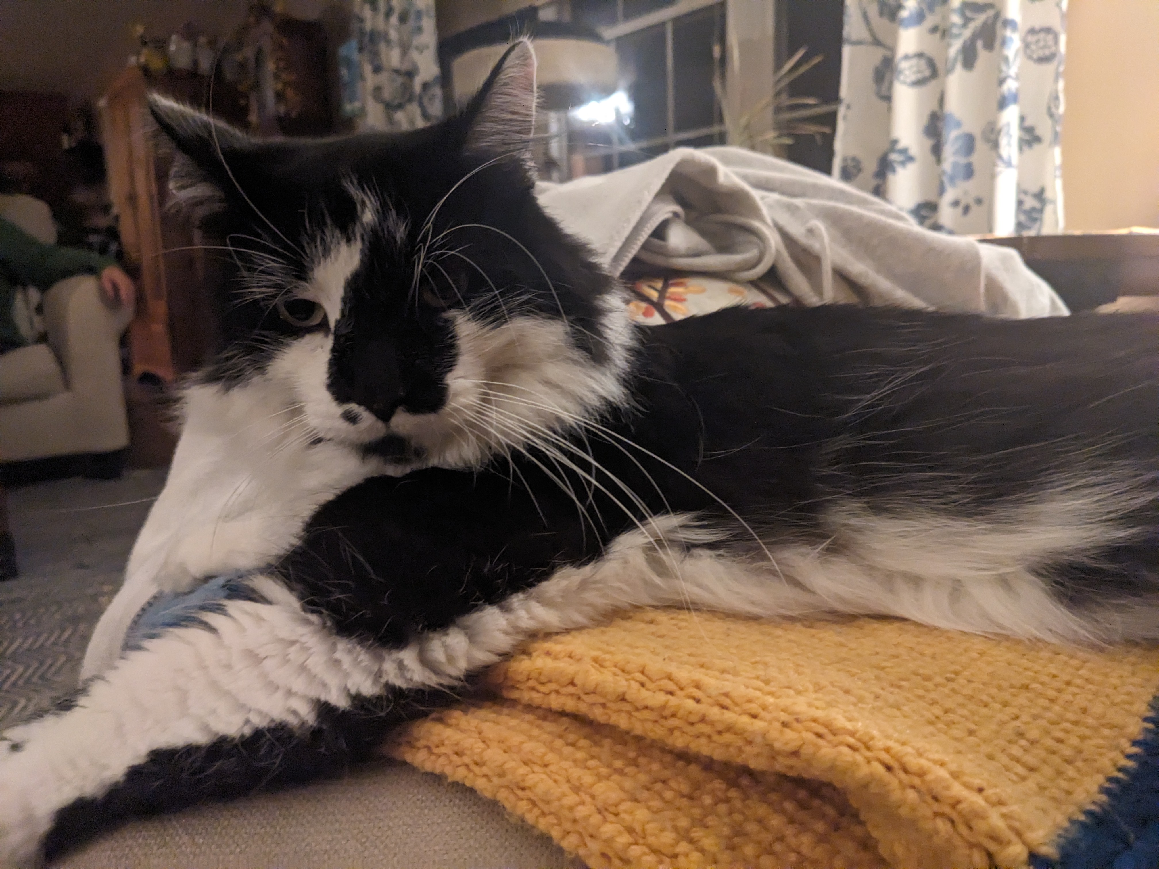 PXL 20241113 033602163