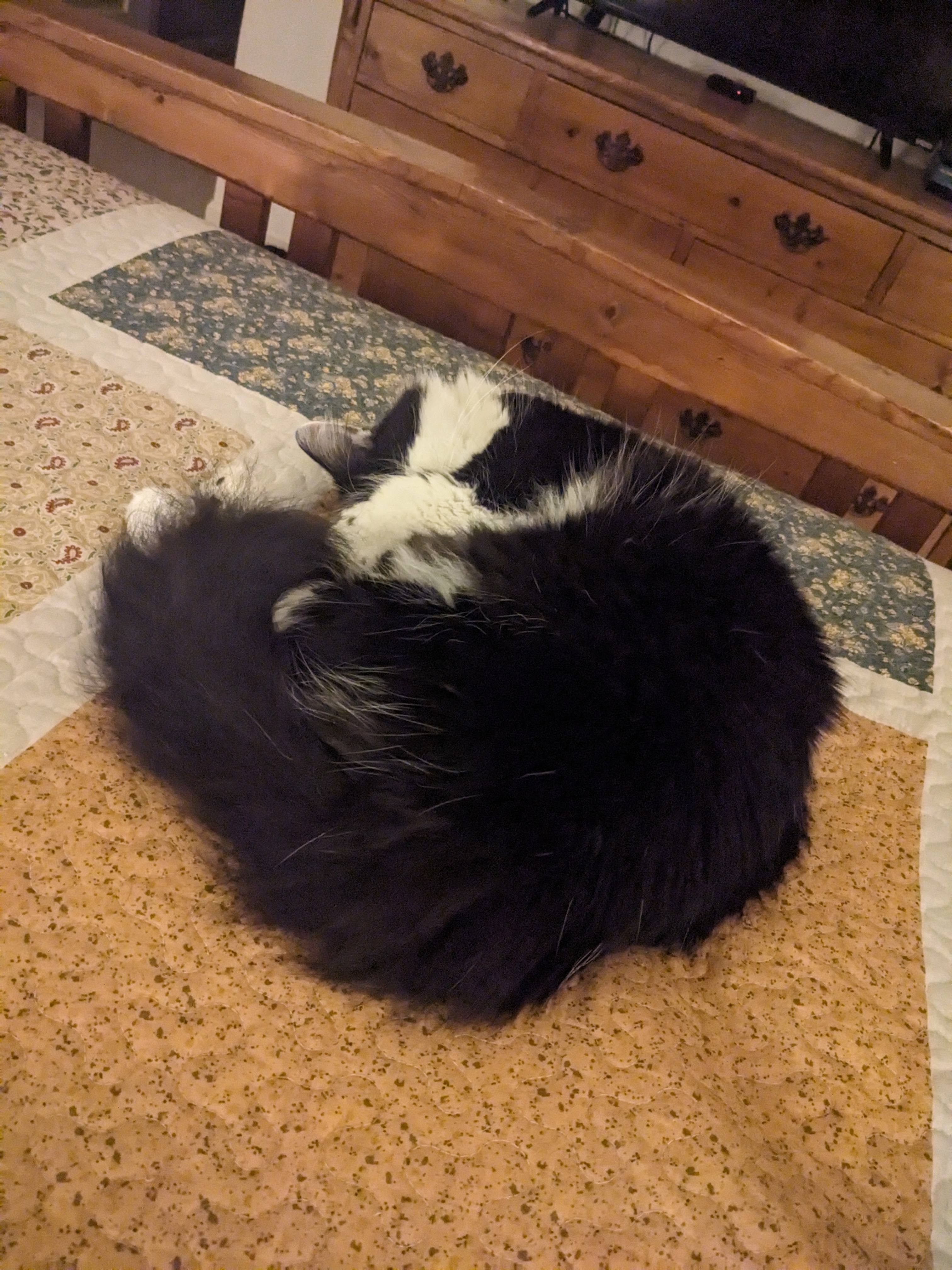 PXL 20241115 020910317