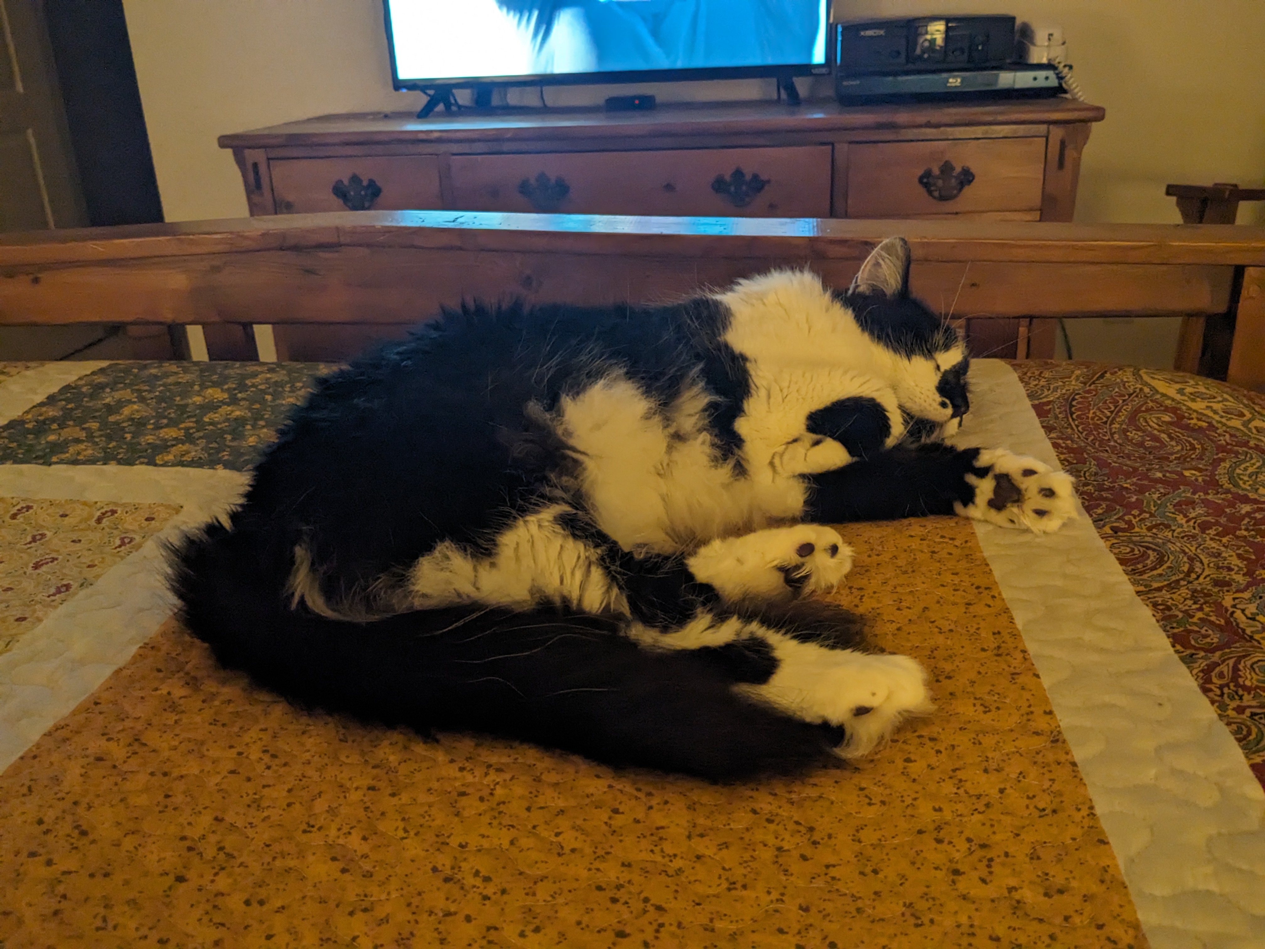 PXL 20241120 032511432