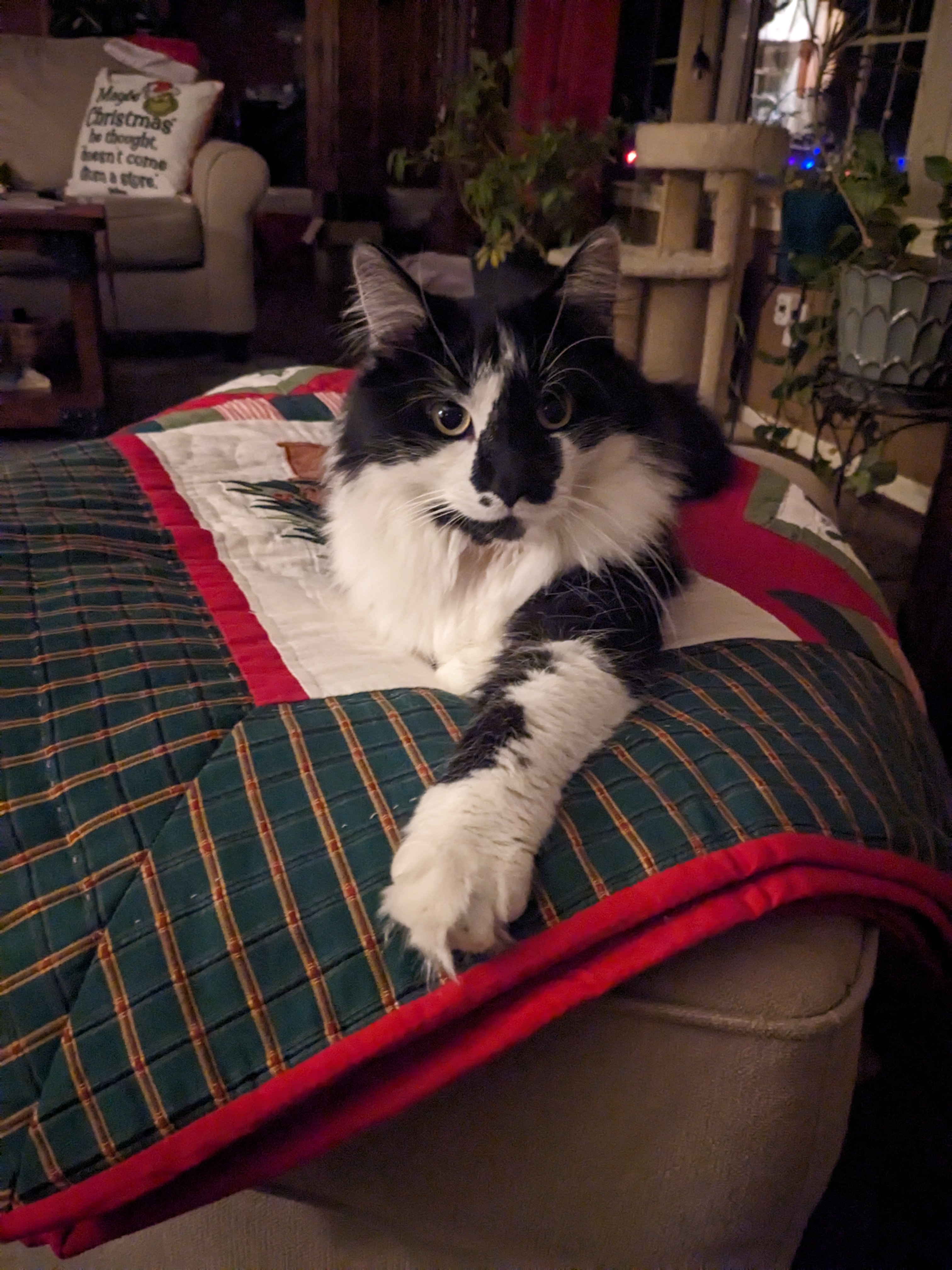 PXL 20241205 023828103