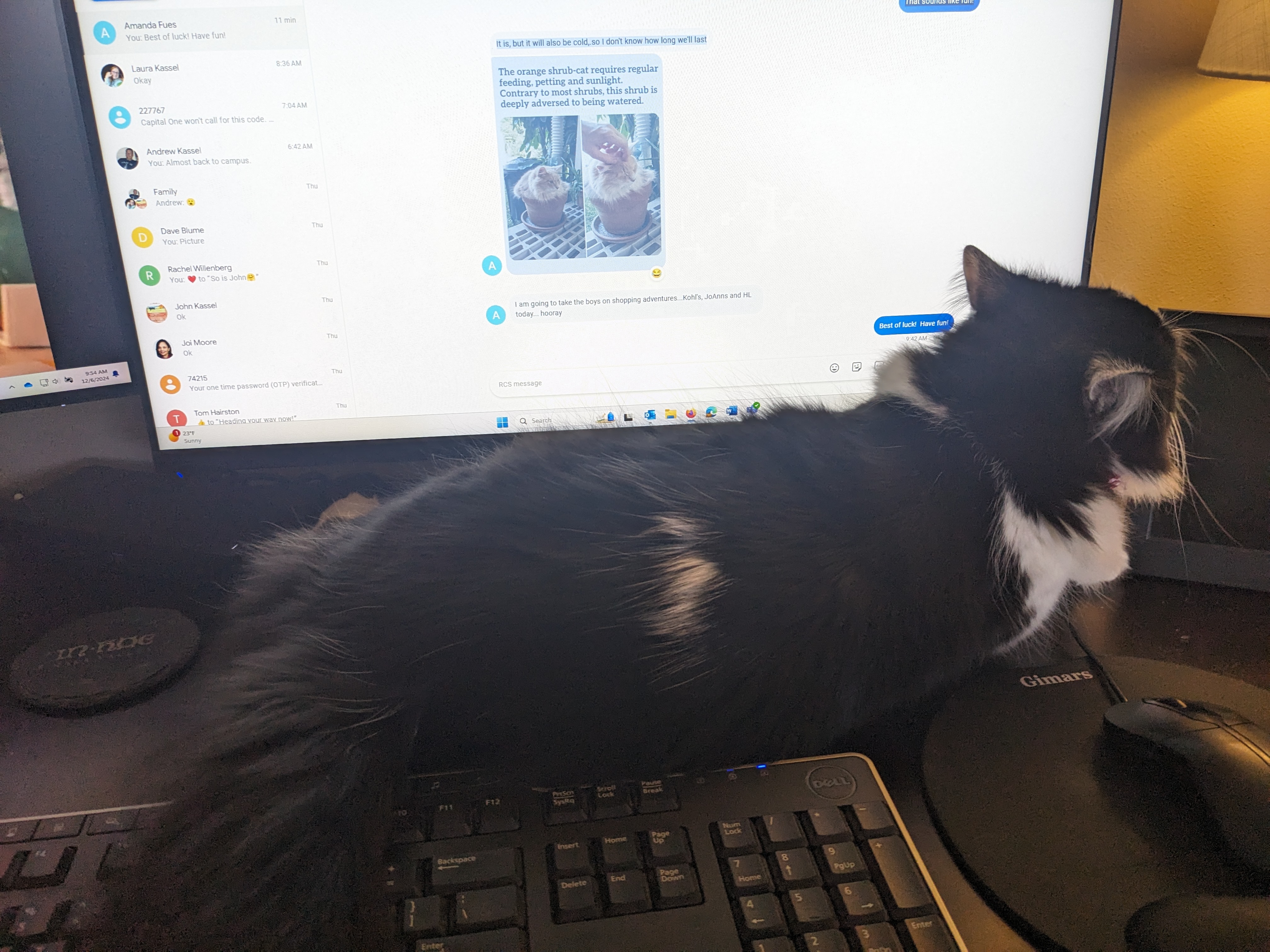 PXL 20241206 155439152