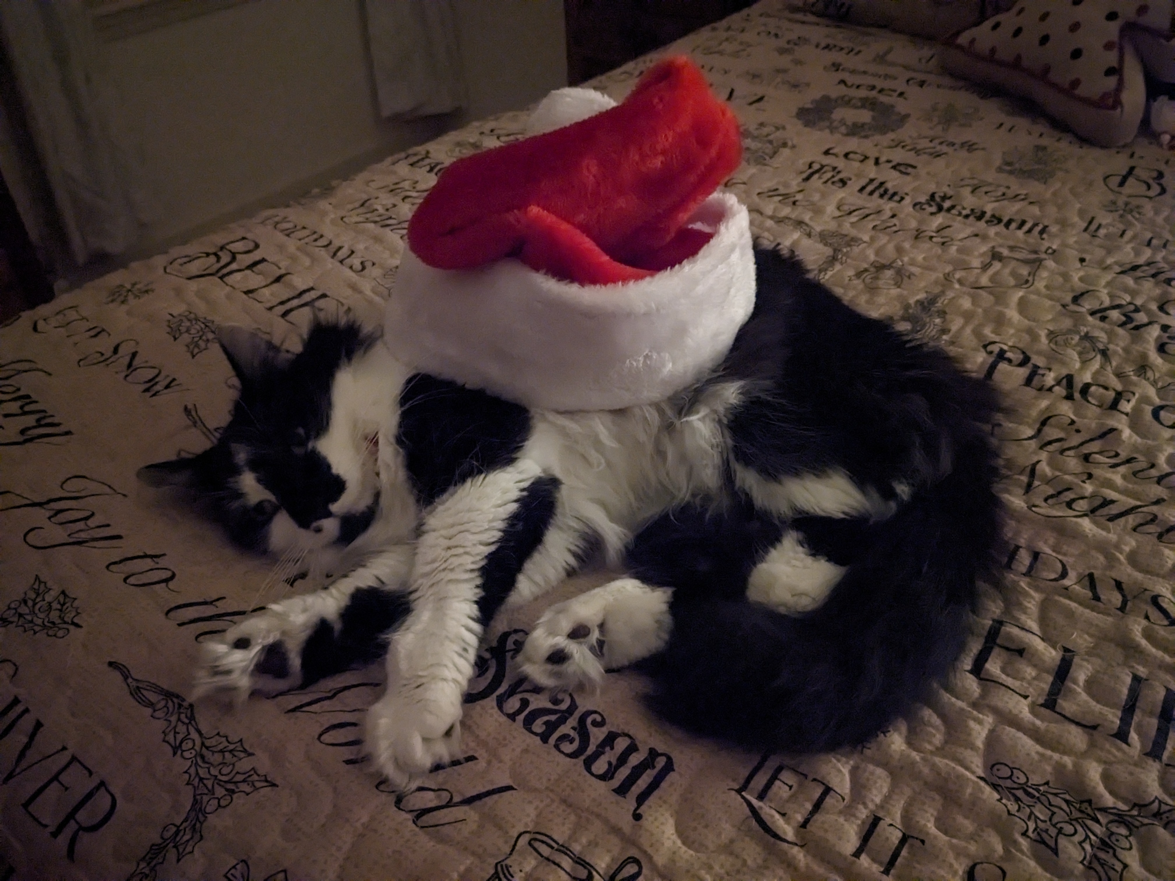 PXL 20241213 024622597