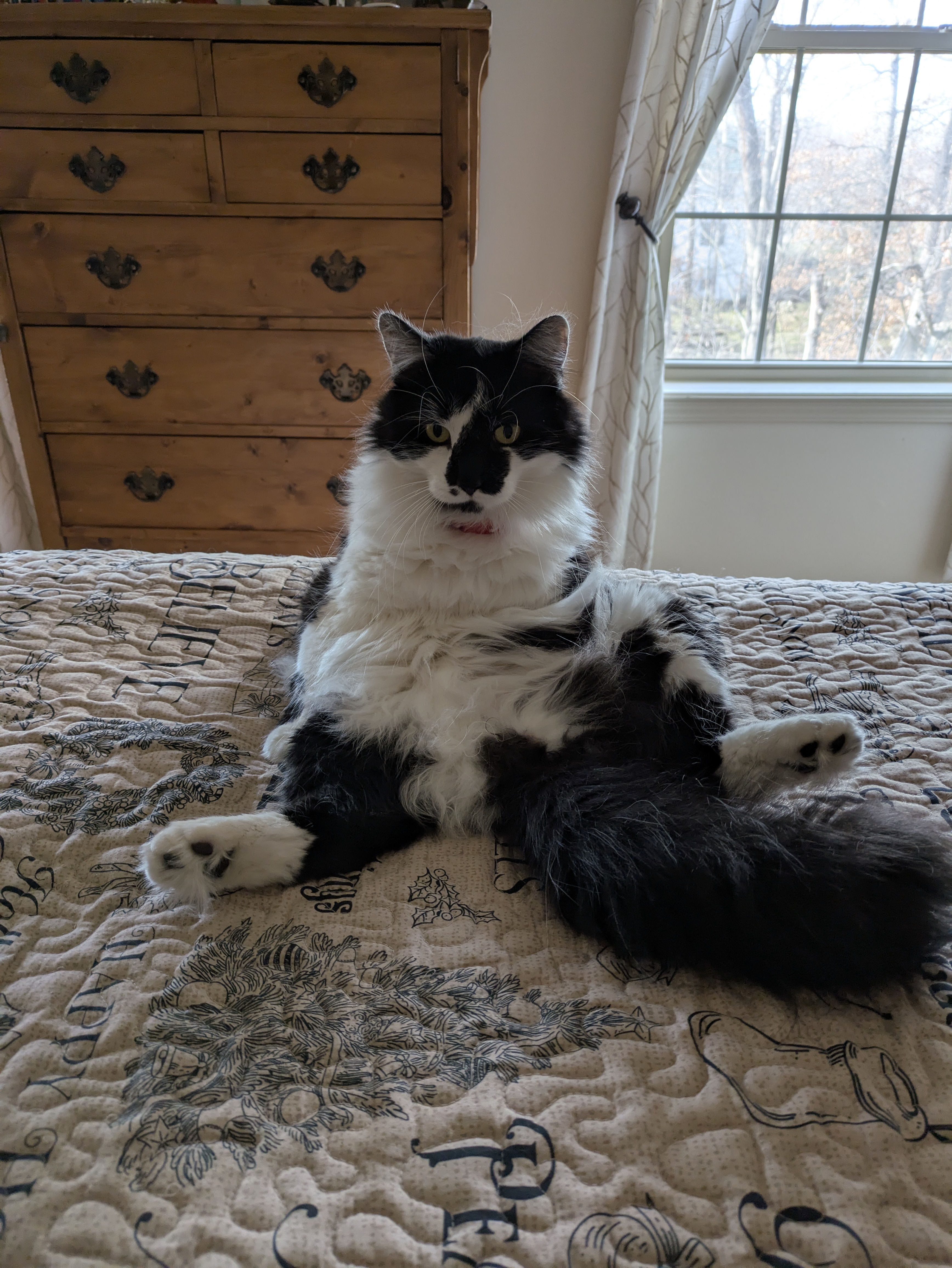 PXL 20241213 172814772.RAW 01.COVER