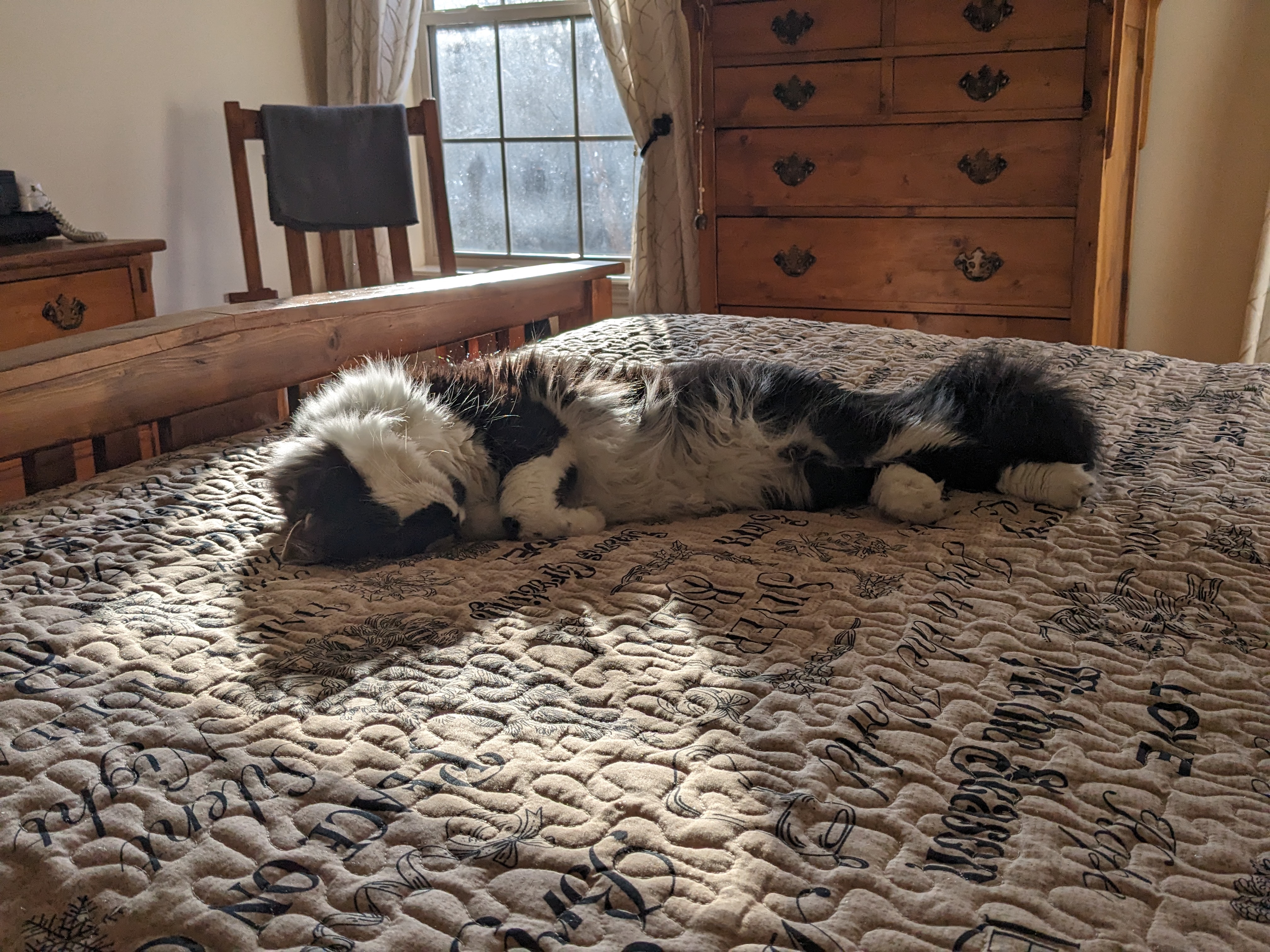 PXL 20241215 204922826