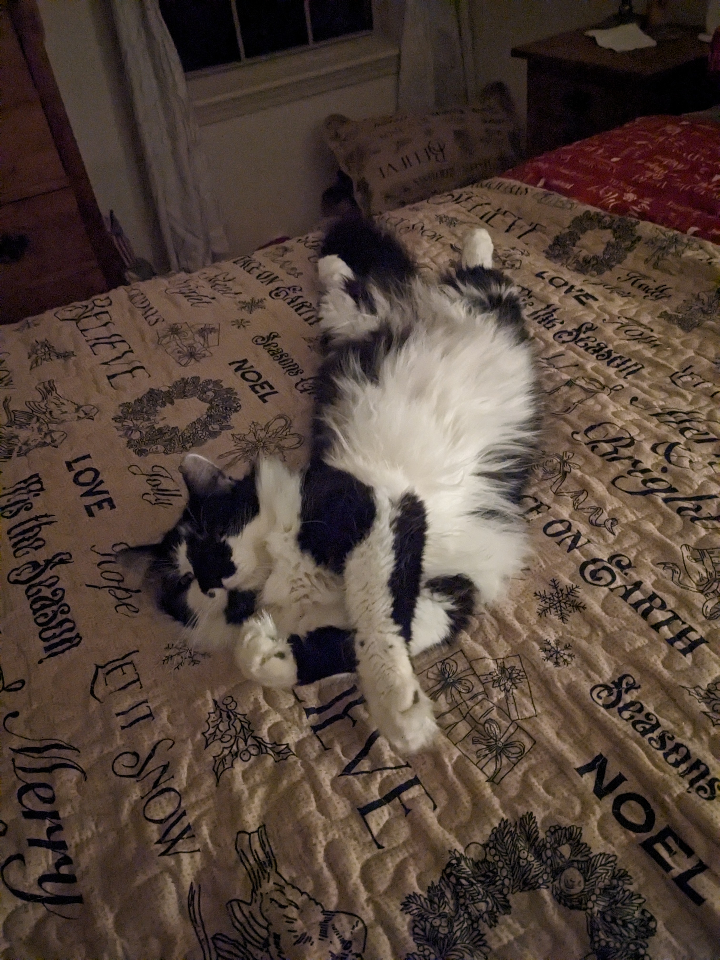 PXL 20241218 011444137