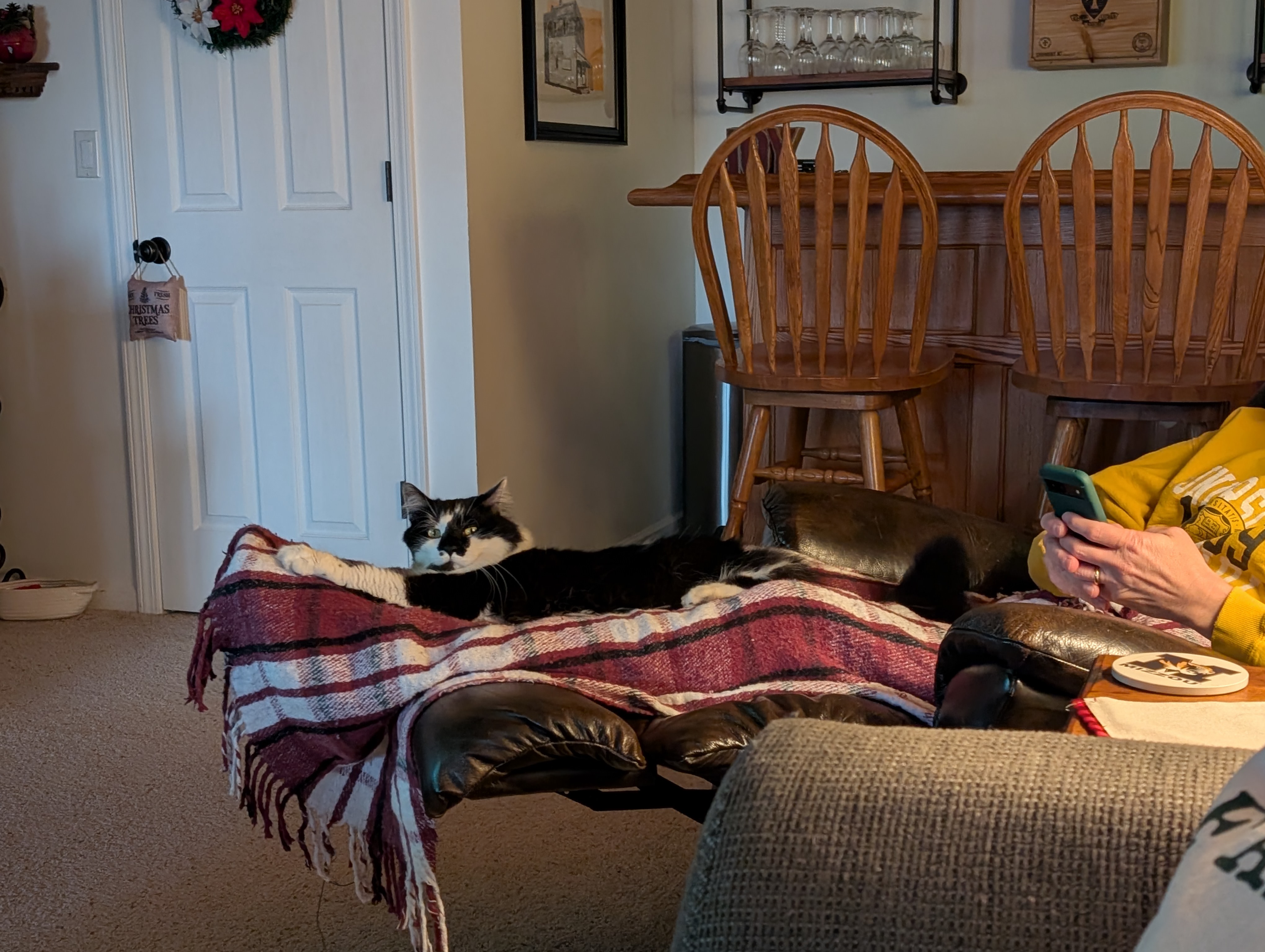 PXL 20241230 194252566