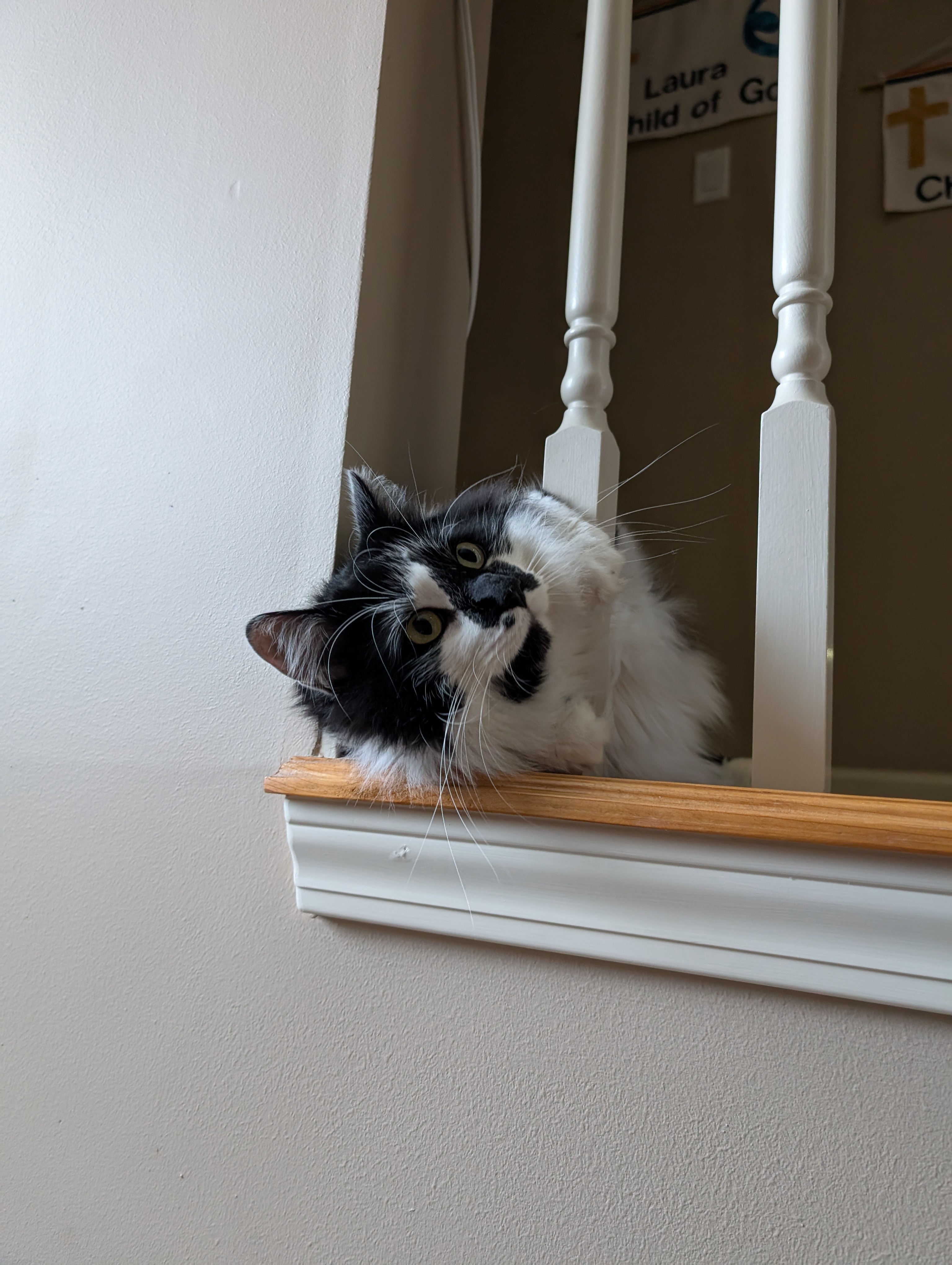 PXL 20250105 160432100