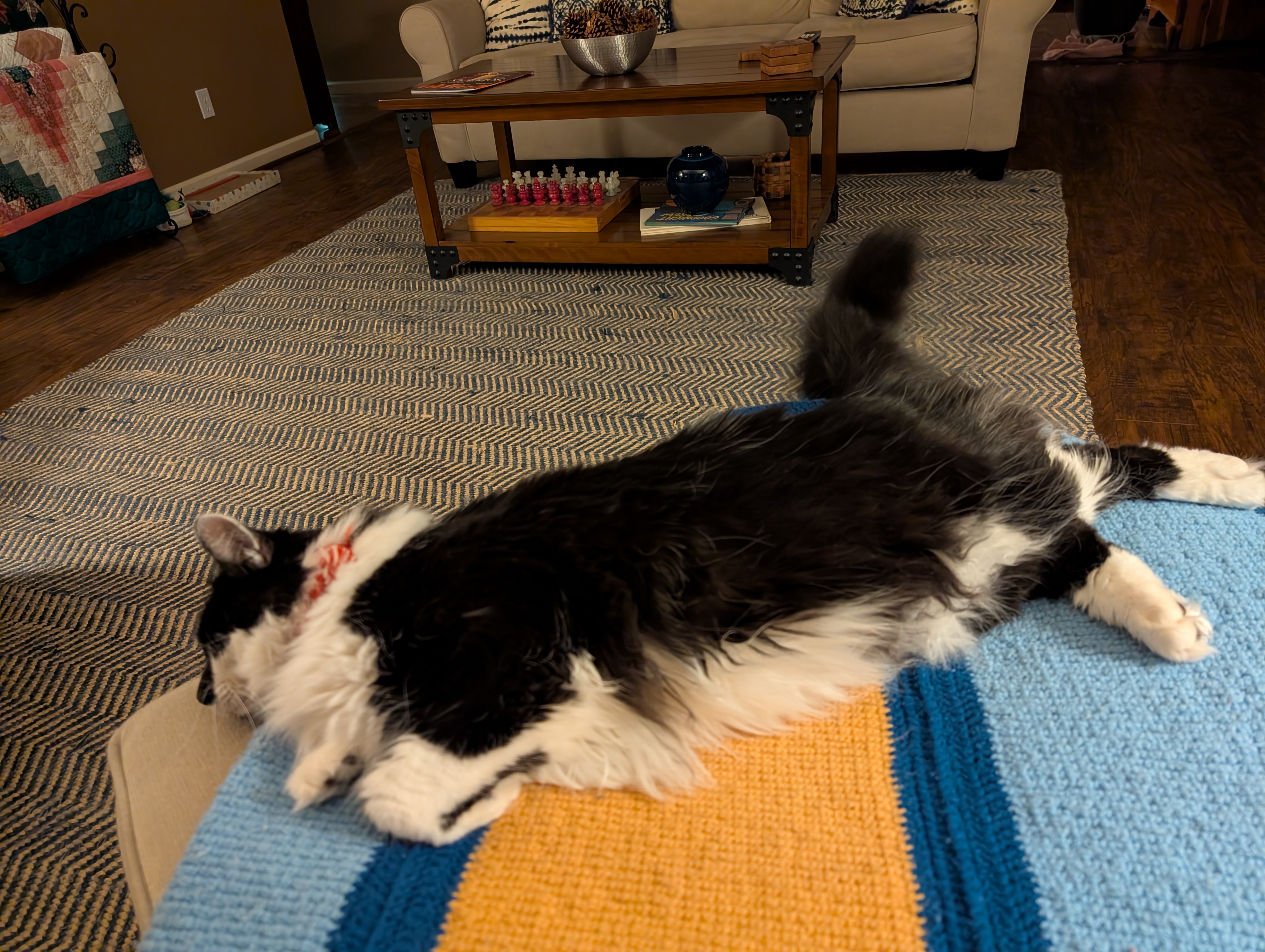 PXL 20250125 014011069