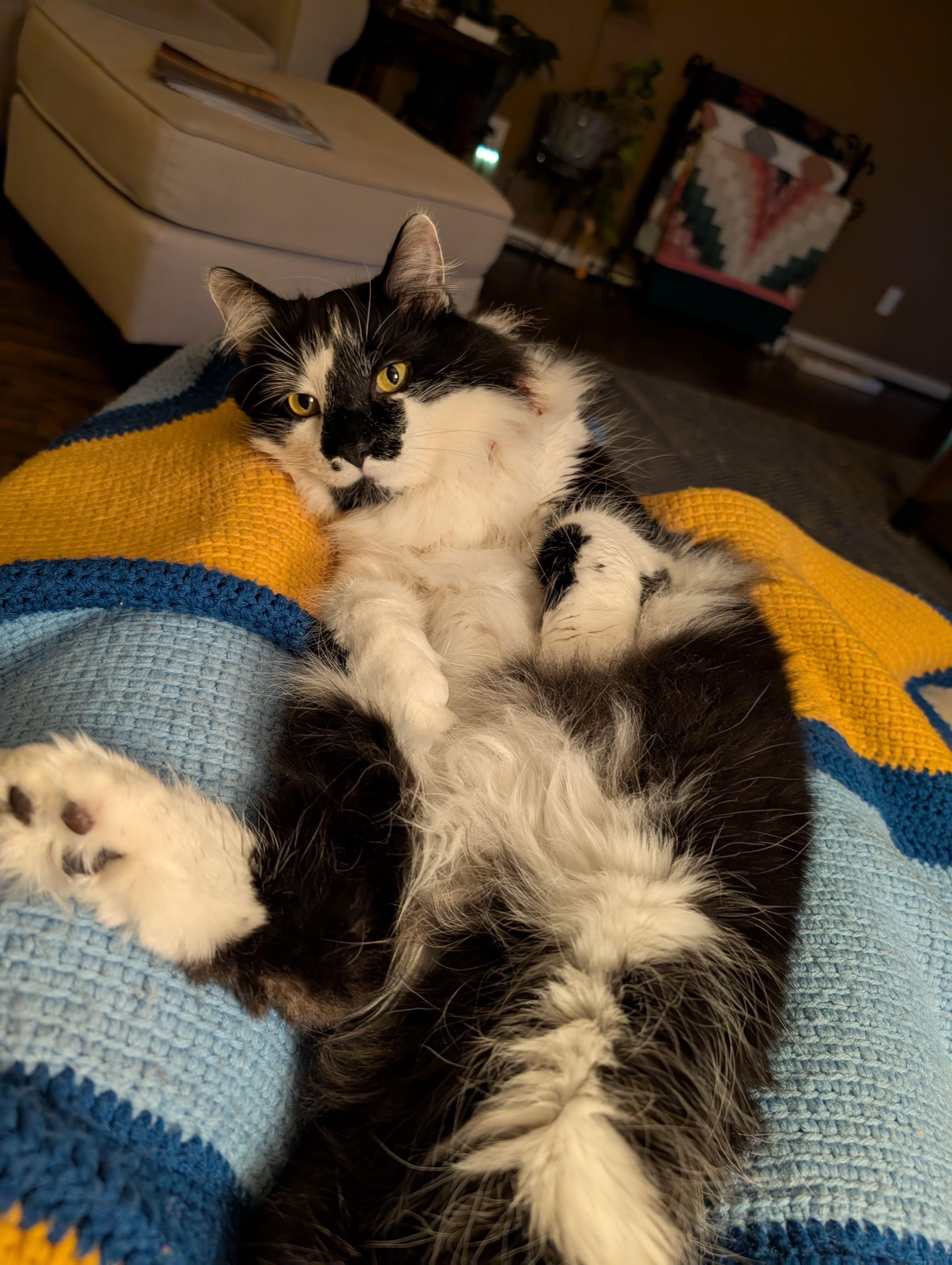 PXL 20250201 234836627