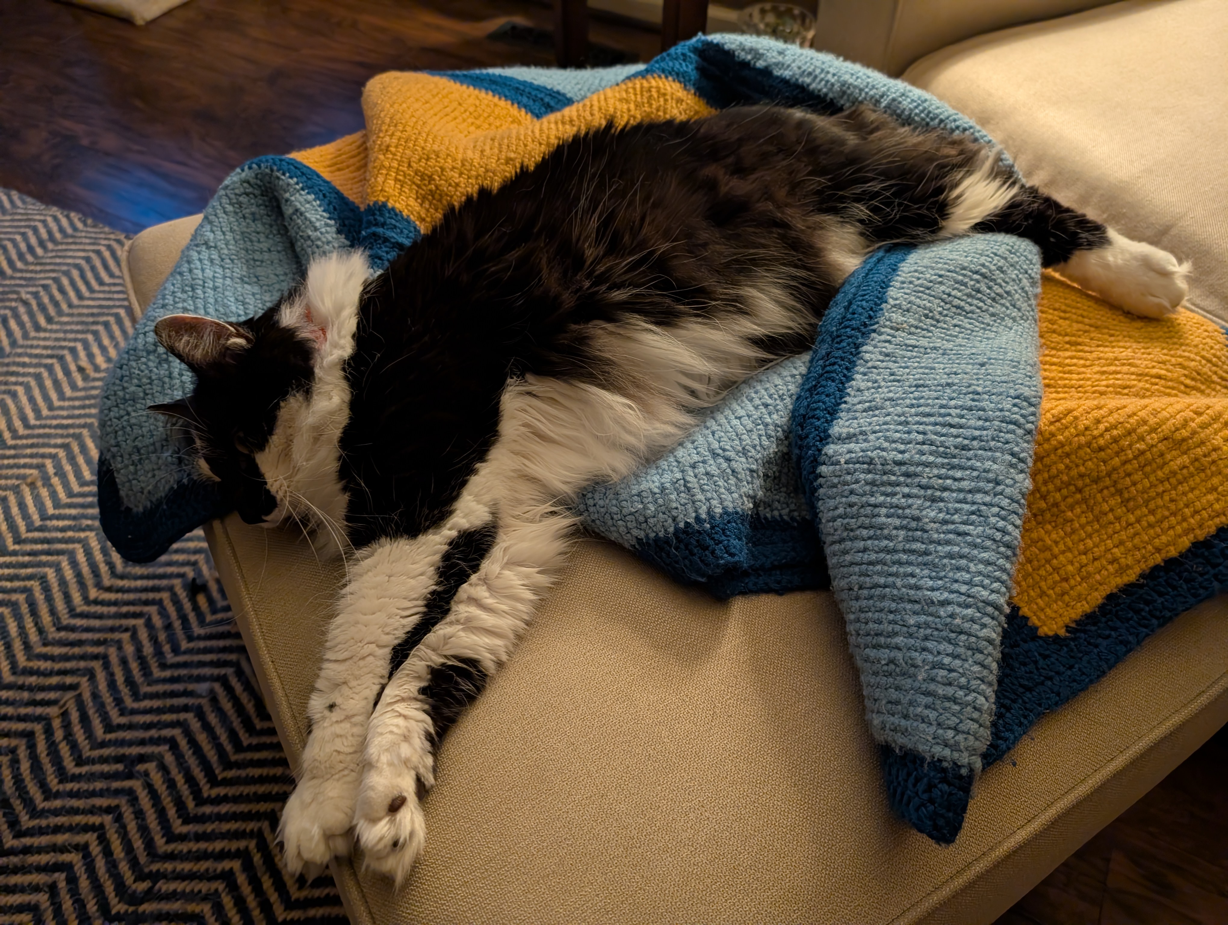 PXL 20250204 234101543