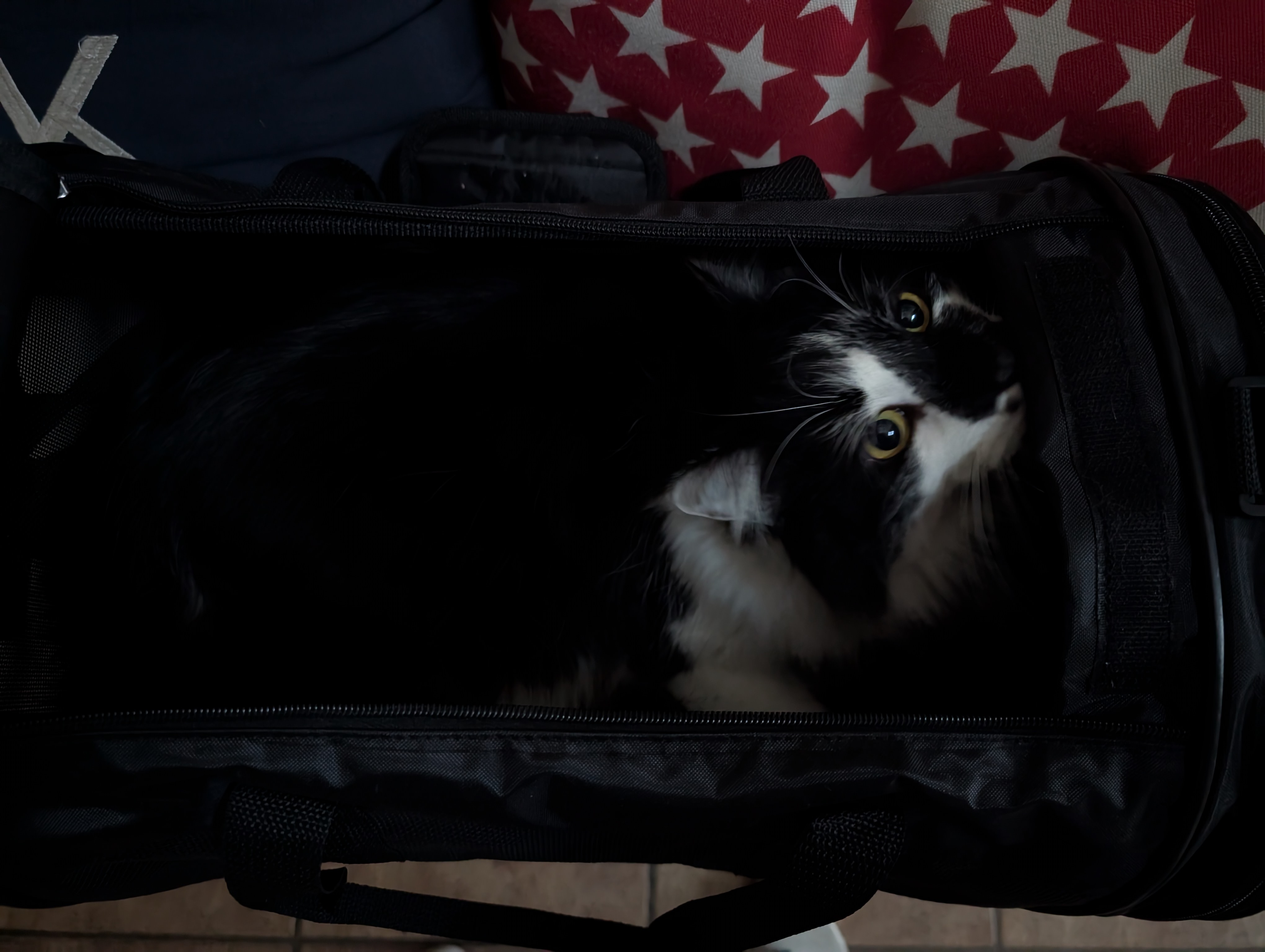 PXL 20250211 134431458