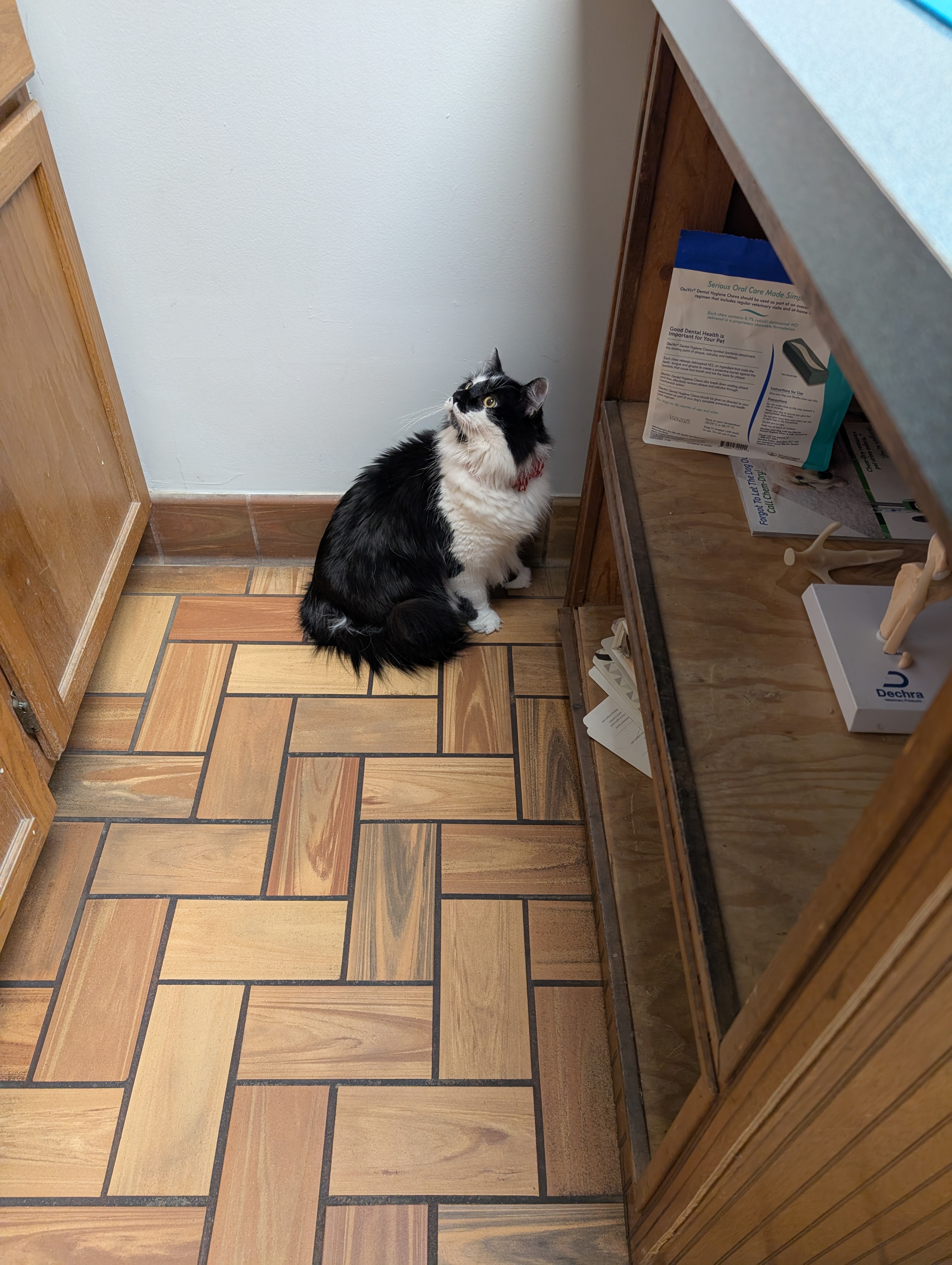 PXL 20250211 142010931