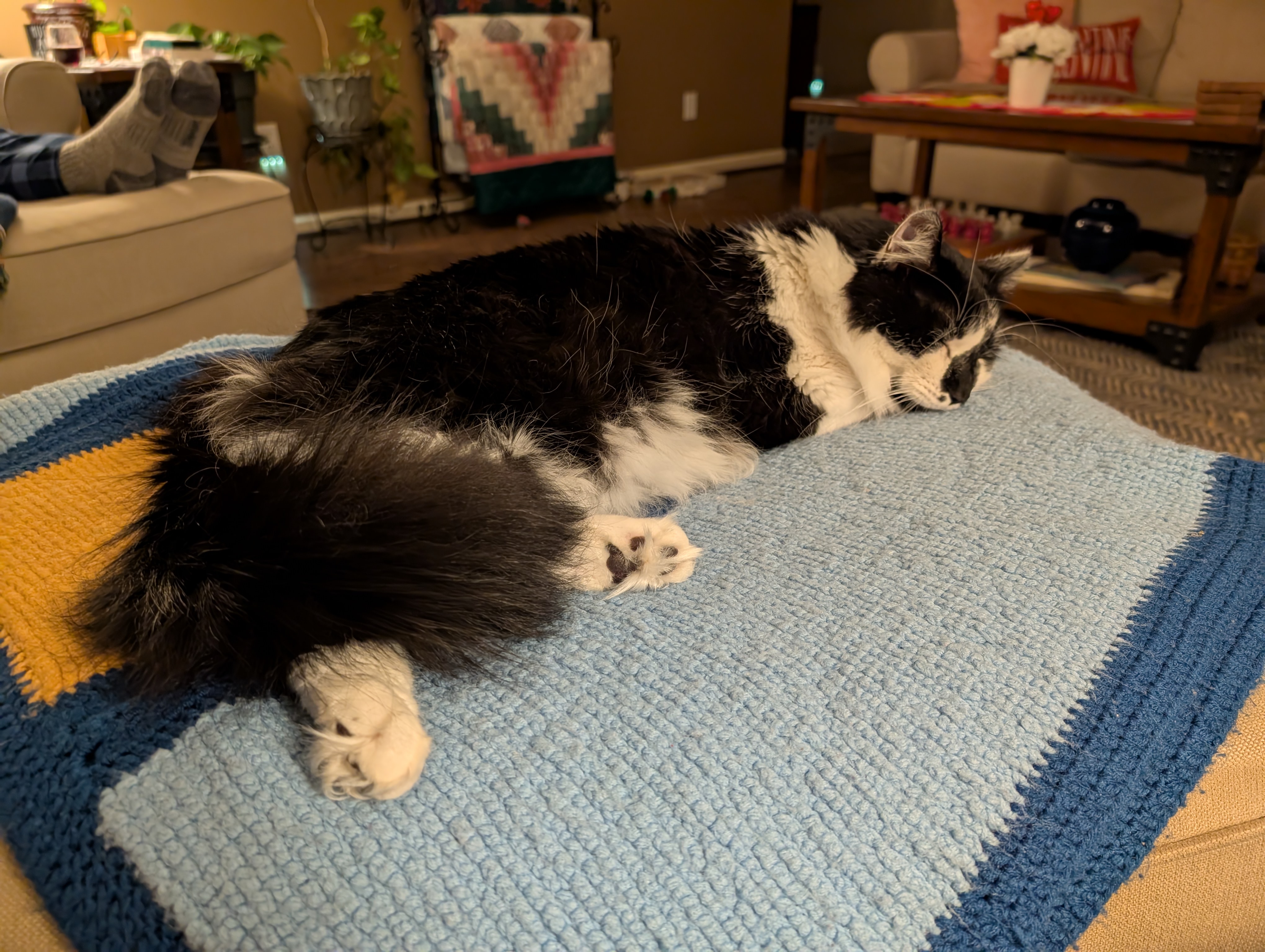 PXL 20250213 015339486