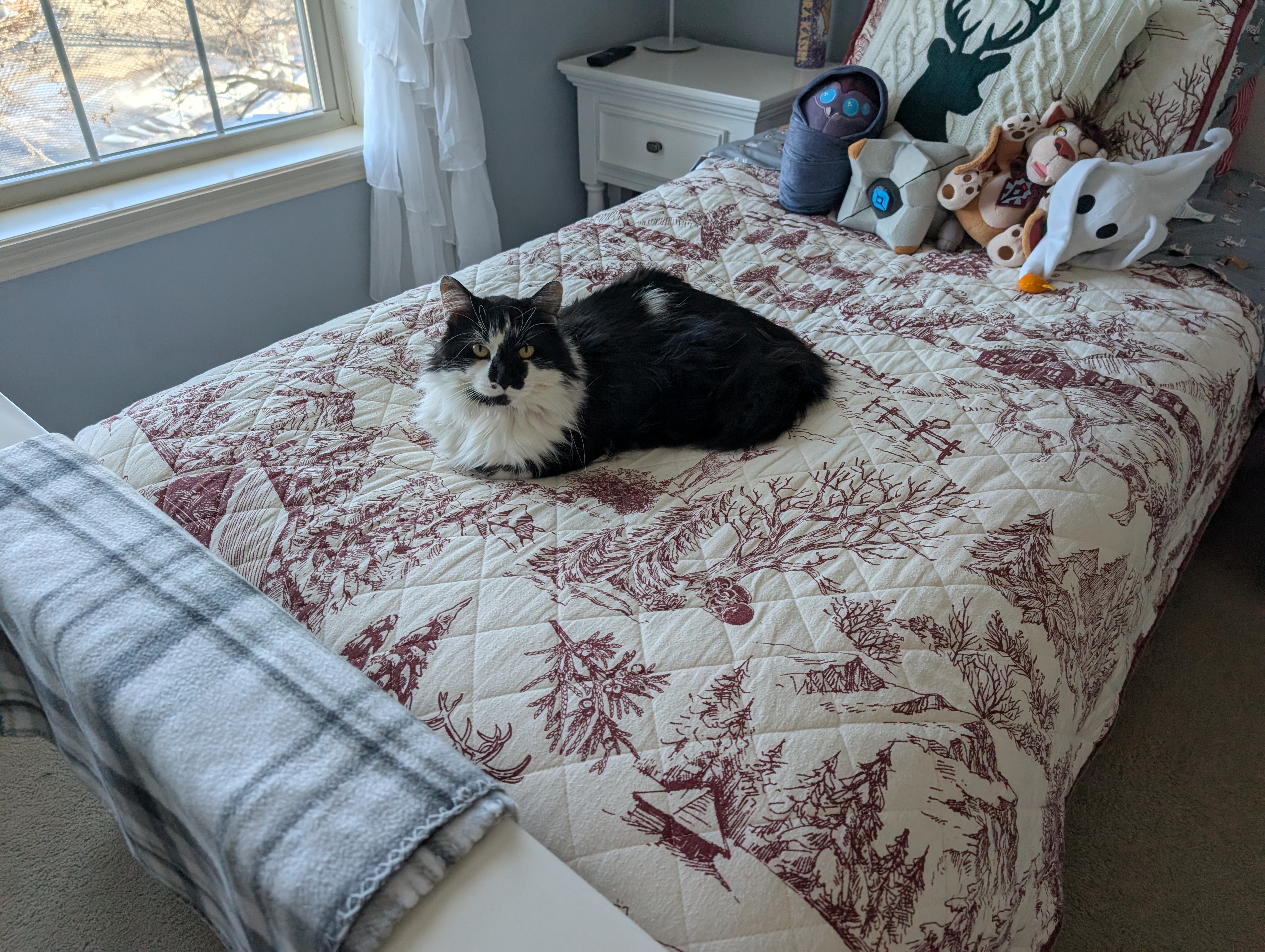 PXL 20250213 214227429