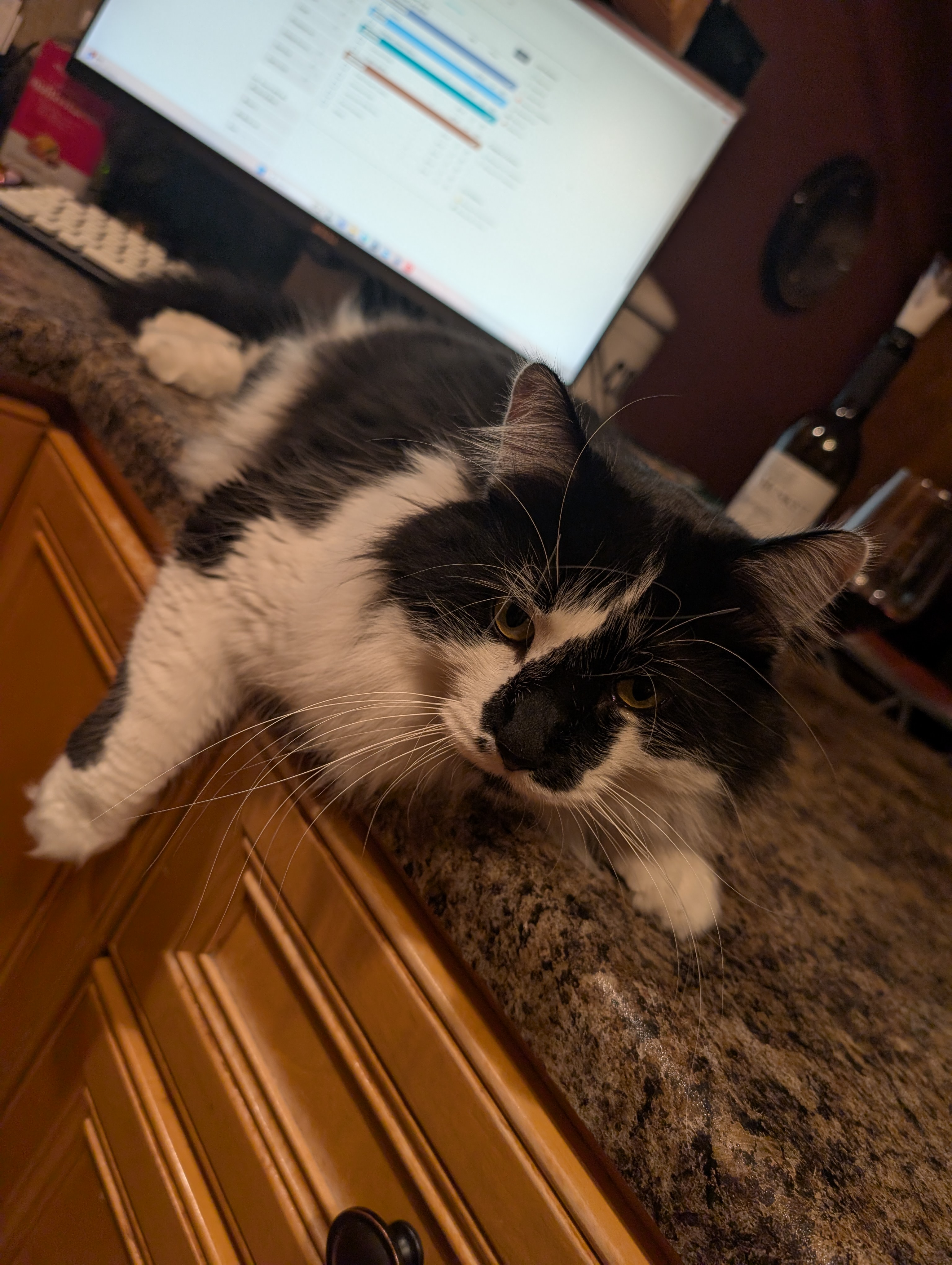 PXL 20250215 000926927