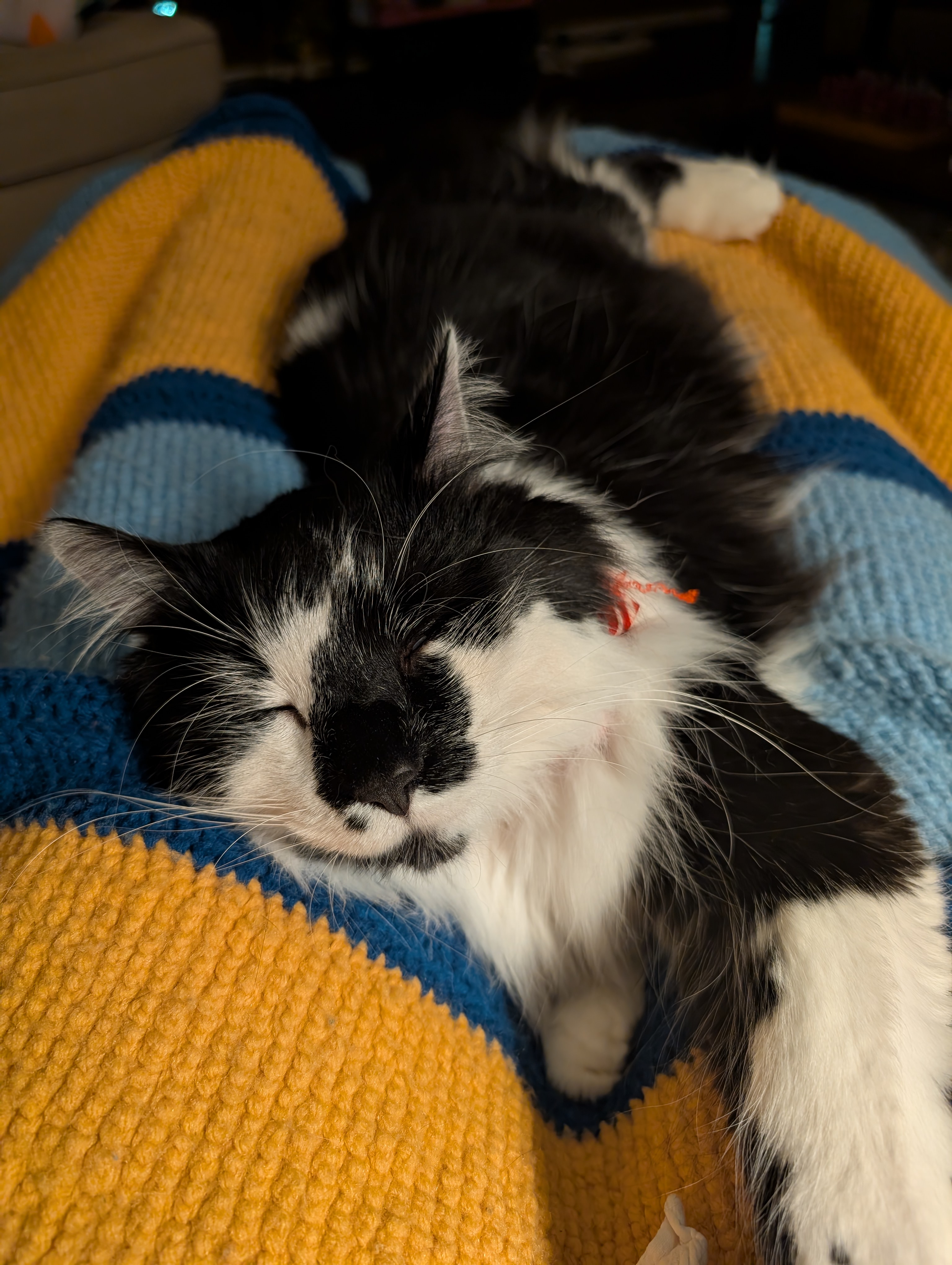 PXL 20250304 040507350