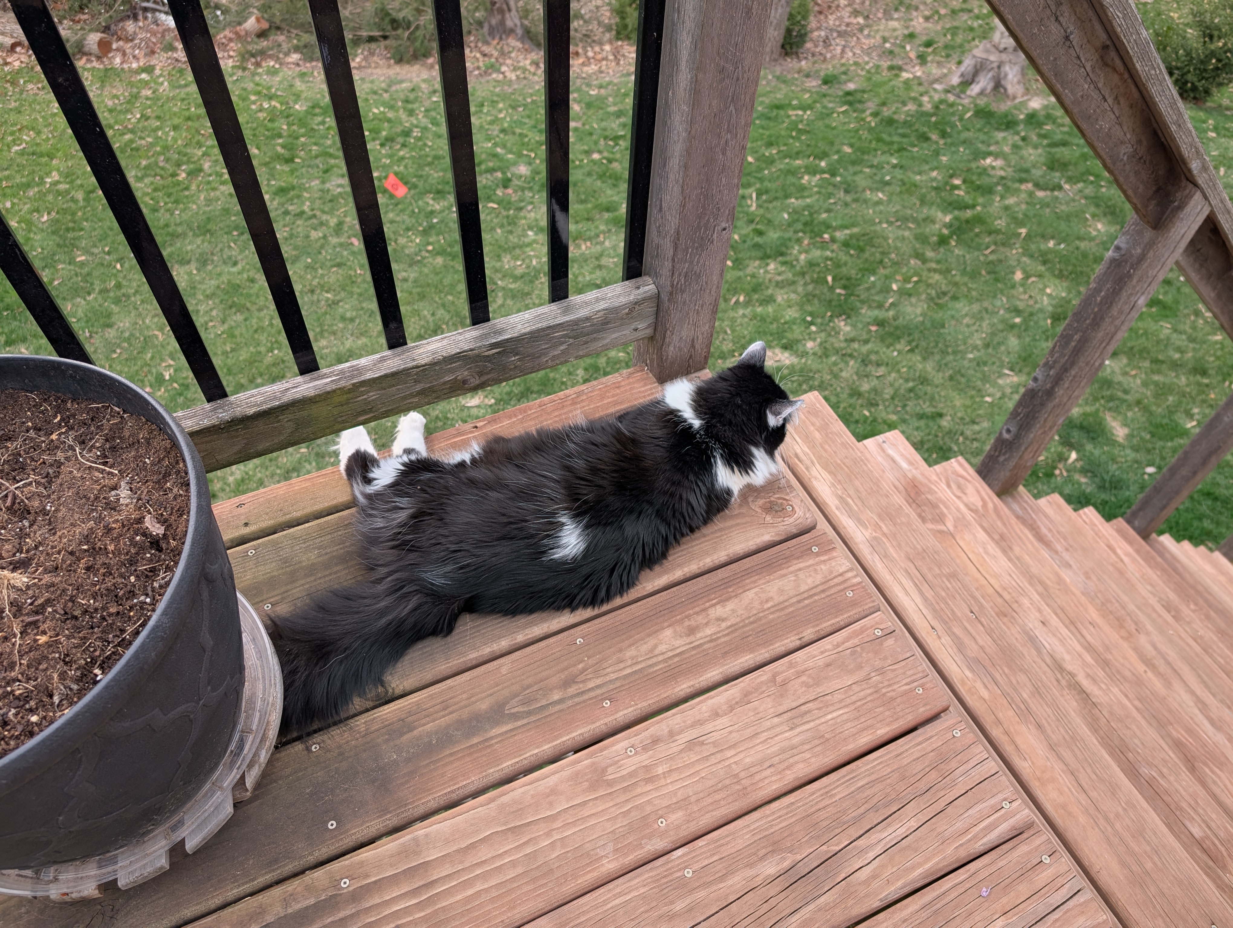 PXL 20250322 215601452