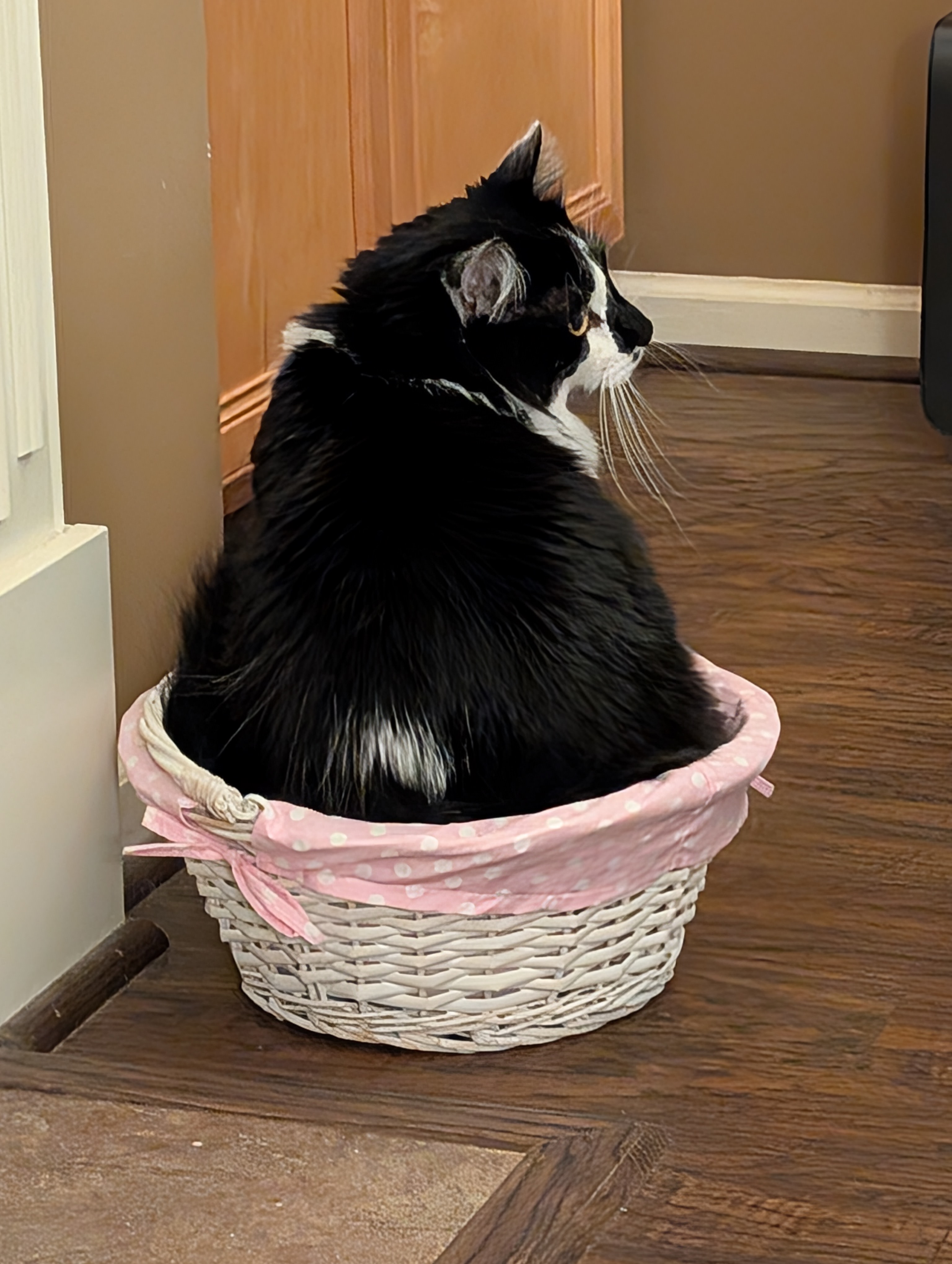 PXL 20250323 012753710