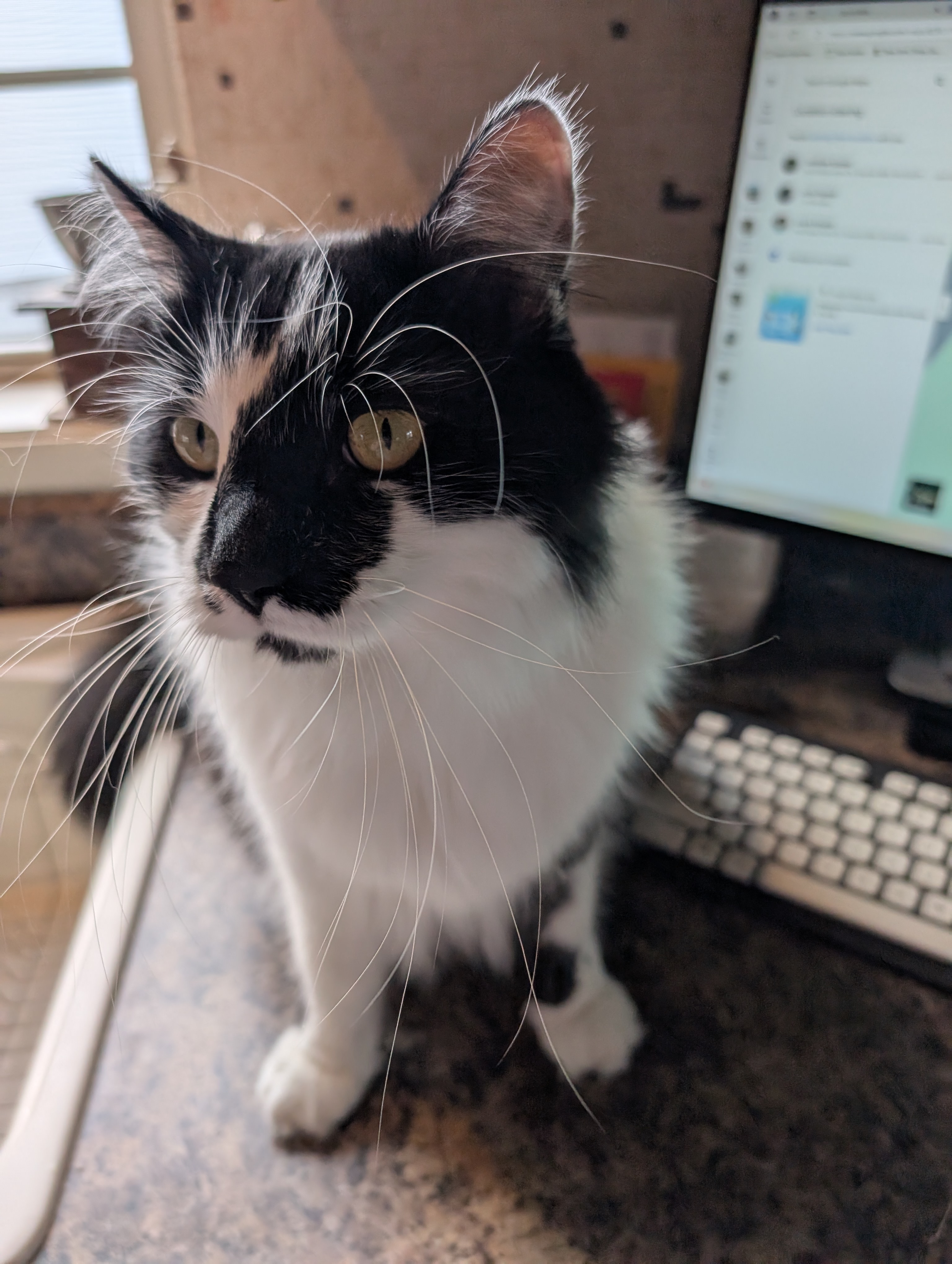 PXL 20250413 135045055