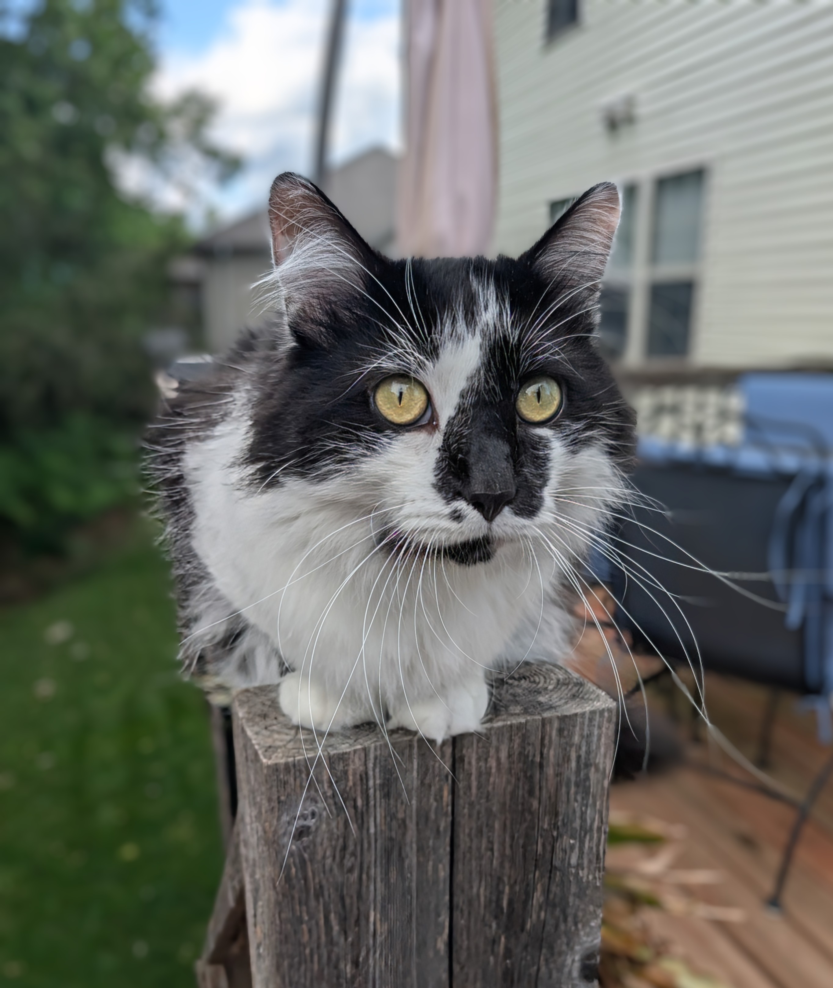 PXL 20250520 230305796~2