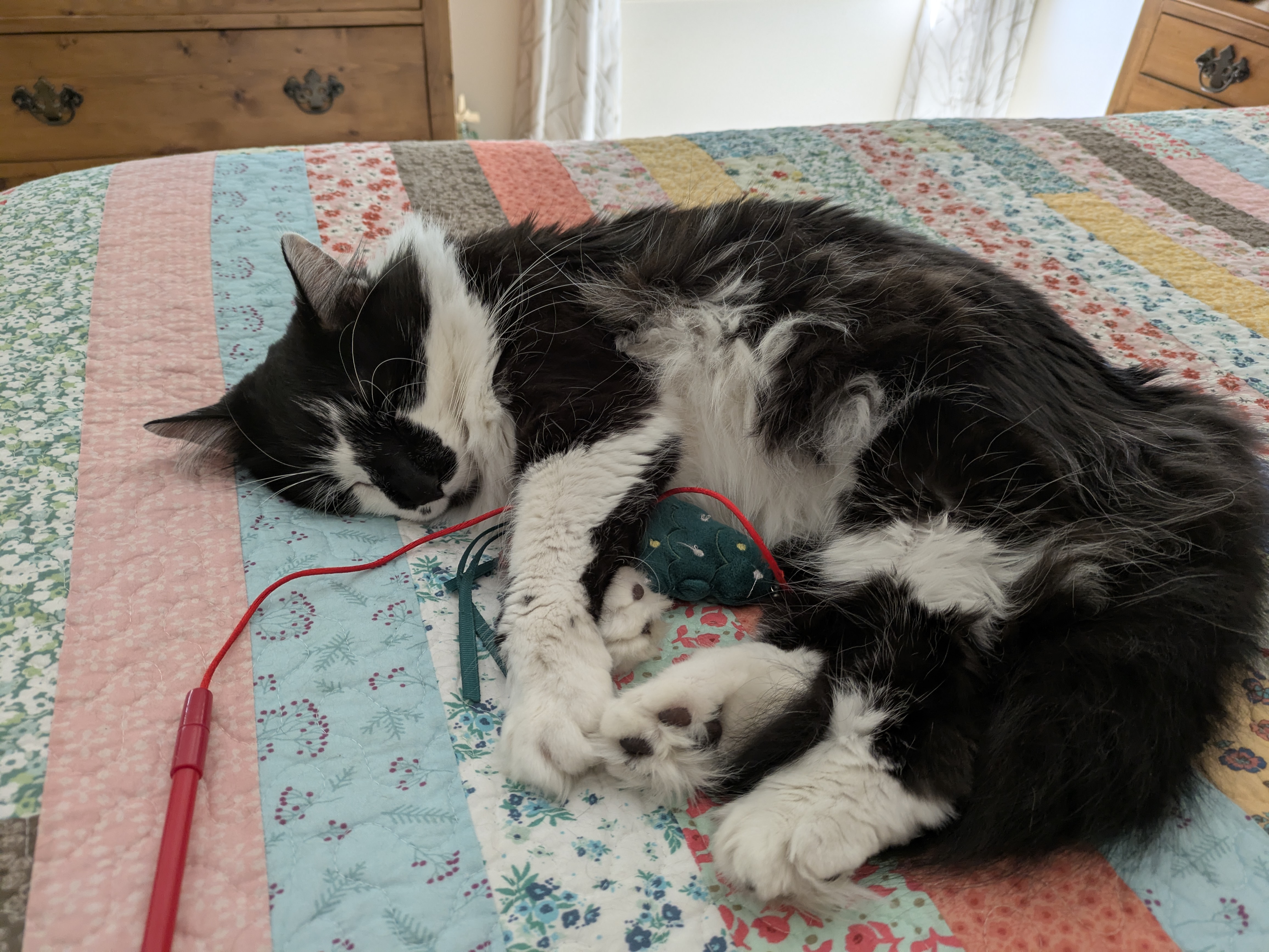 PXL 20250523 194617433.RAW 01.COVER