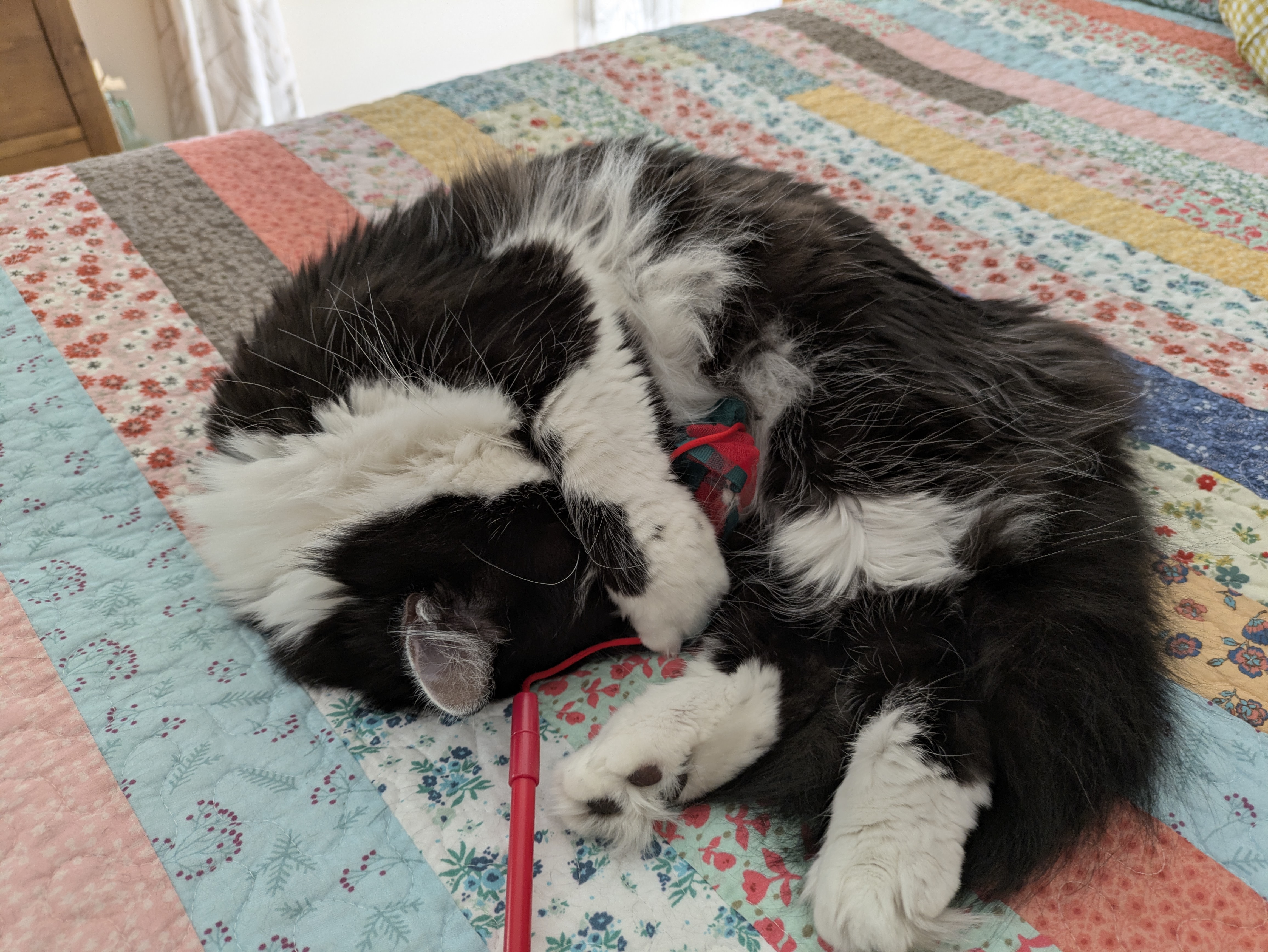 PXL 20250523 200132058.RAW 01.COVER