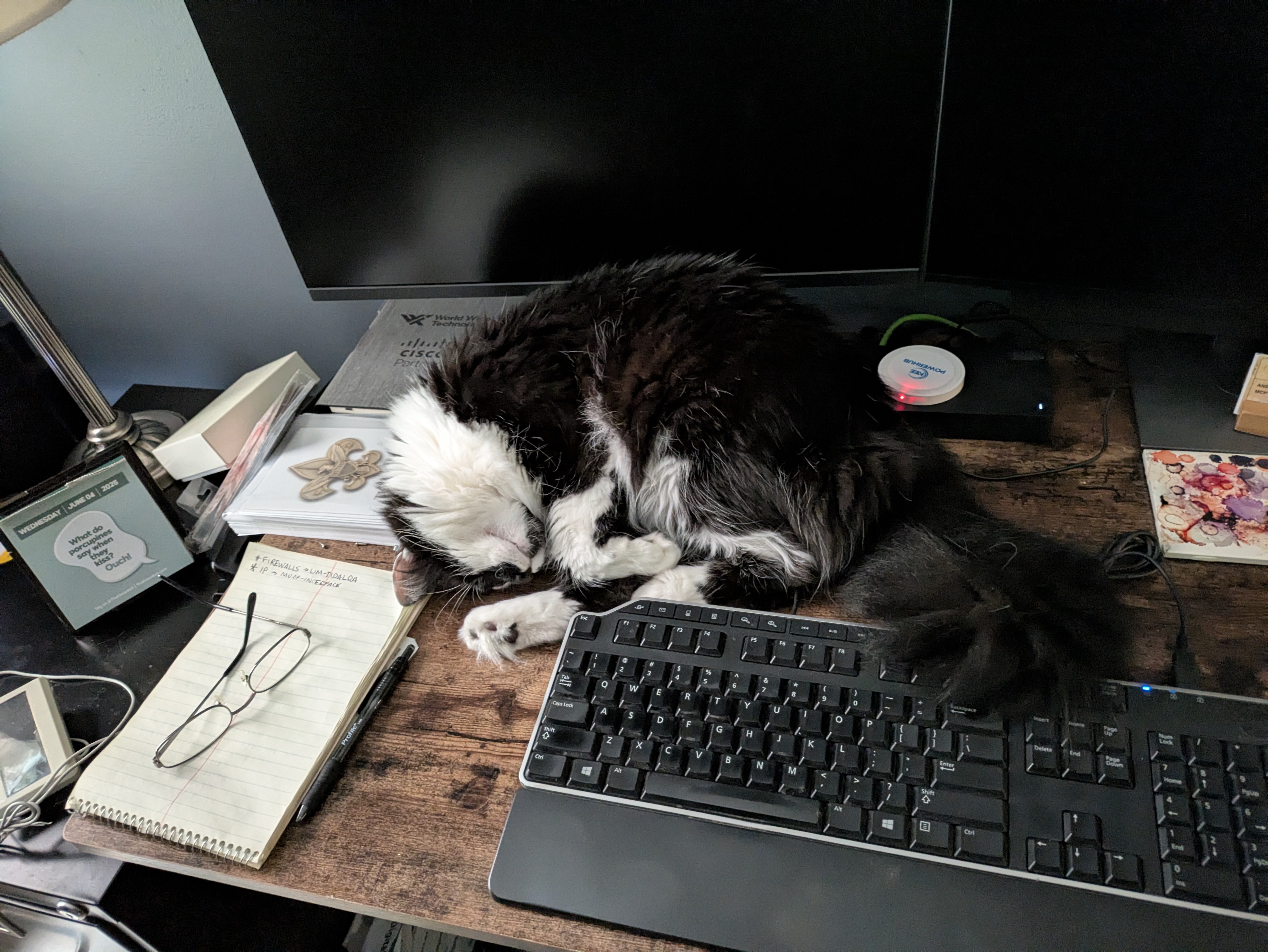 PXL 20250605 225930937.RAW 01.COVER