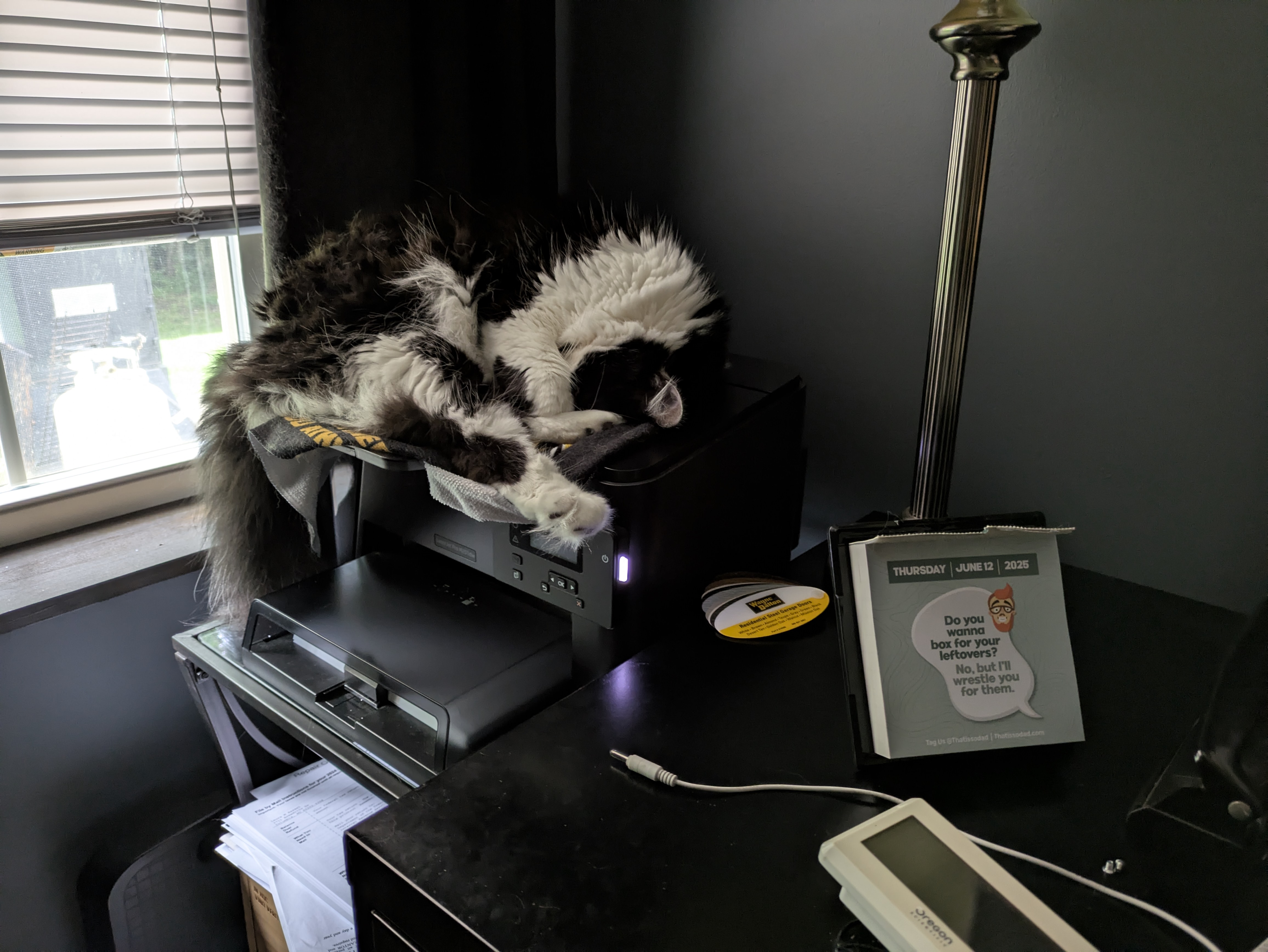 PXL 20250612 165709443.RAW 01.COVER