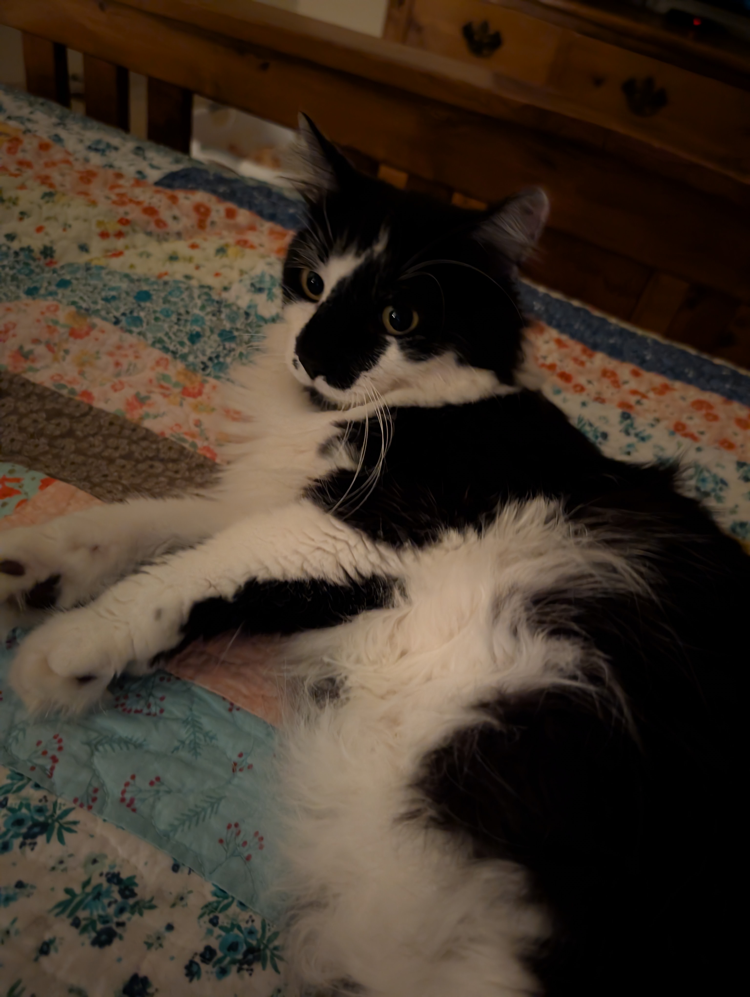 PXL 20250703 034254495