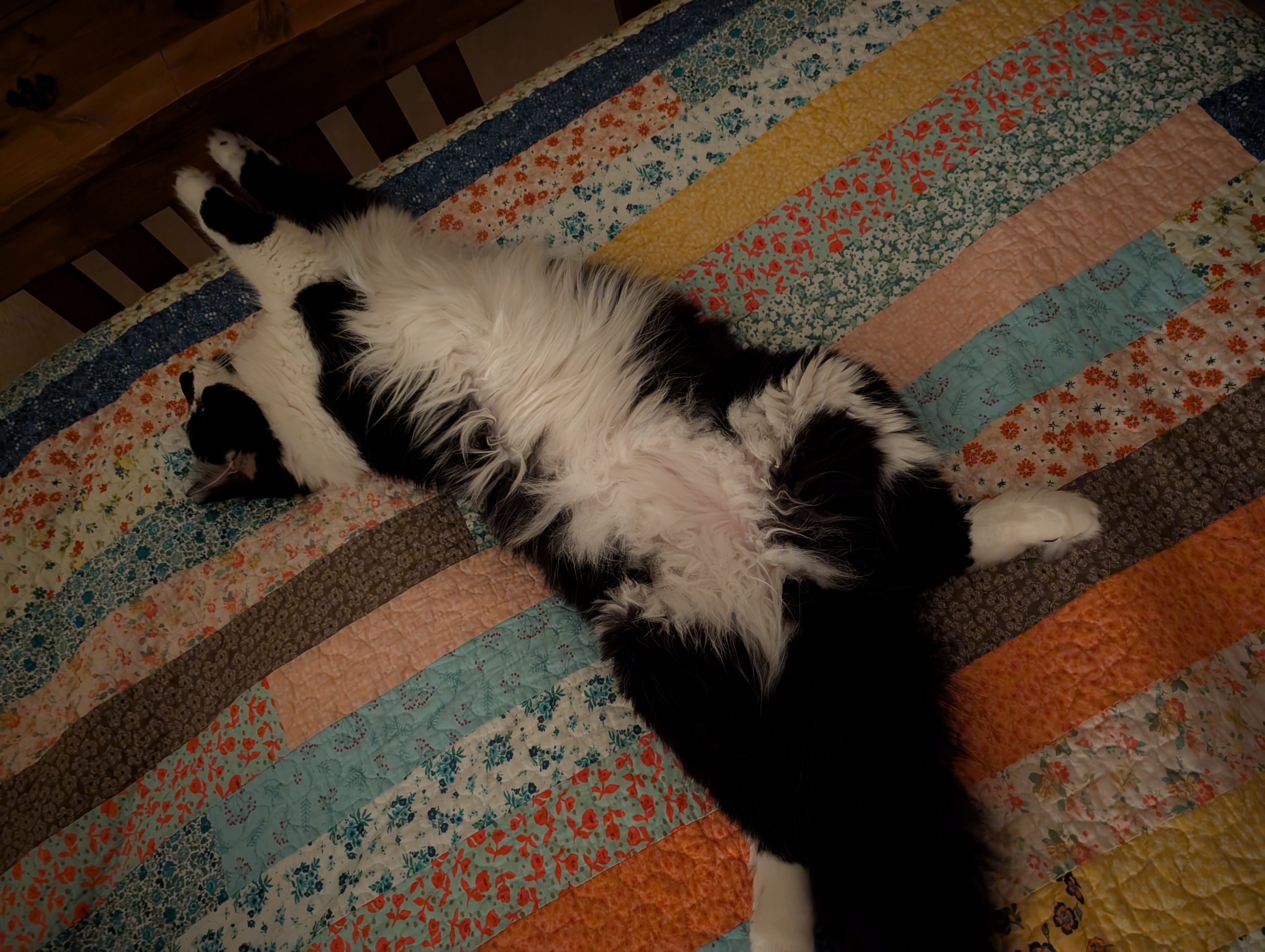 PXL 20250703 034328194