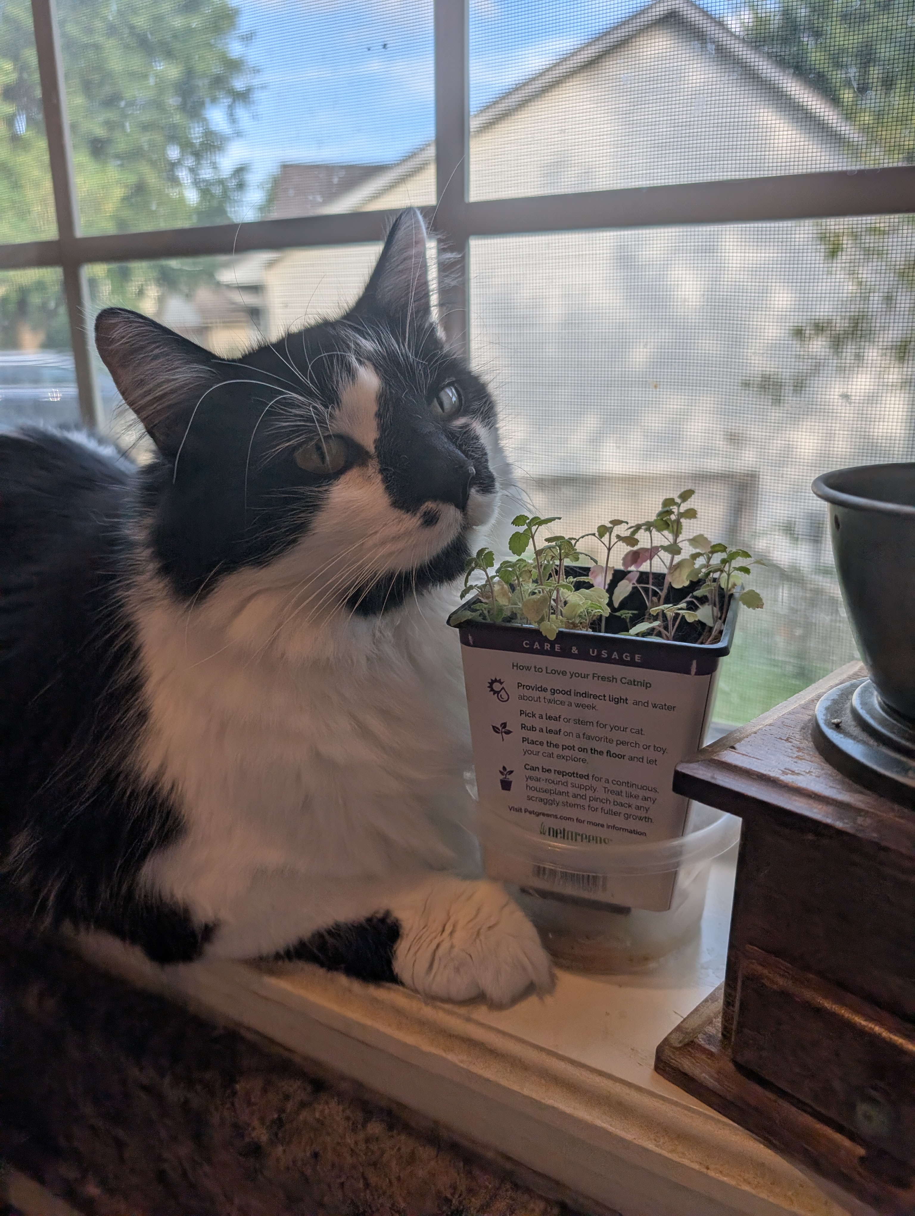 PXL 20250725 230901726